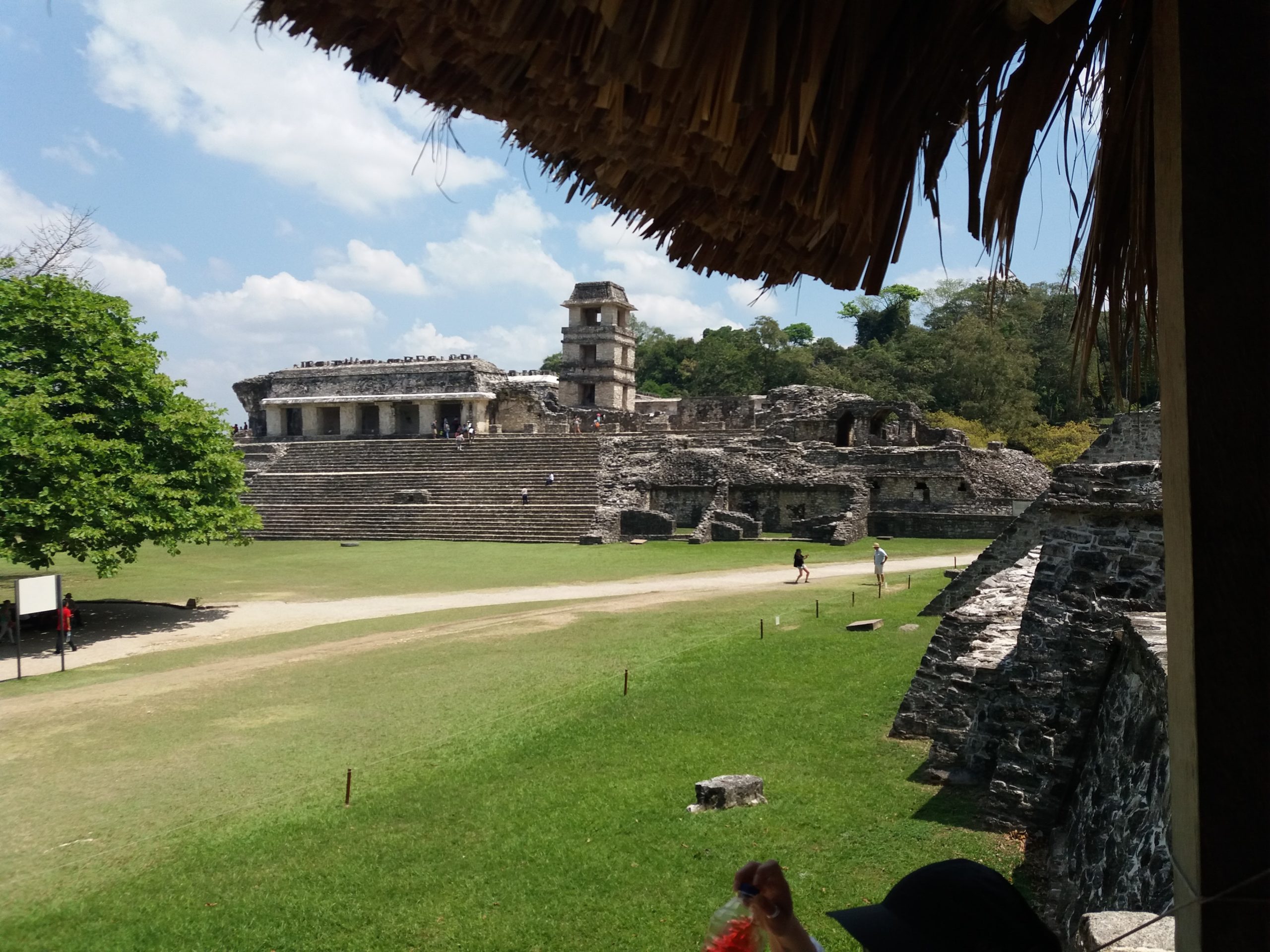 ZONA ARQUEOLÓGICA PALENQUE