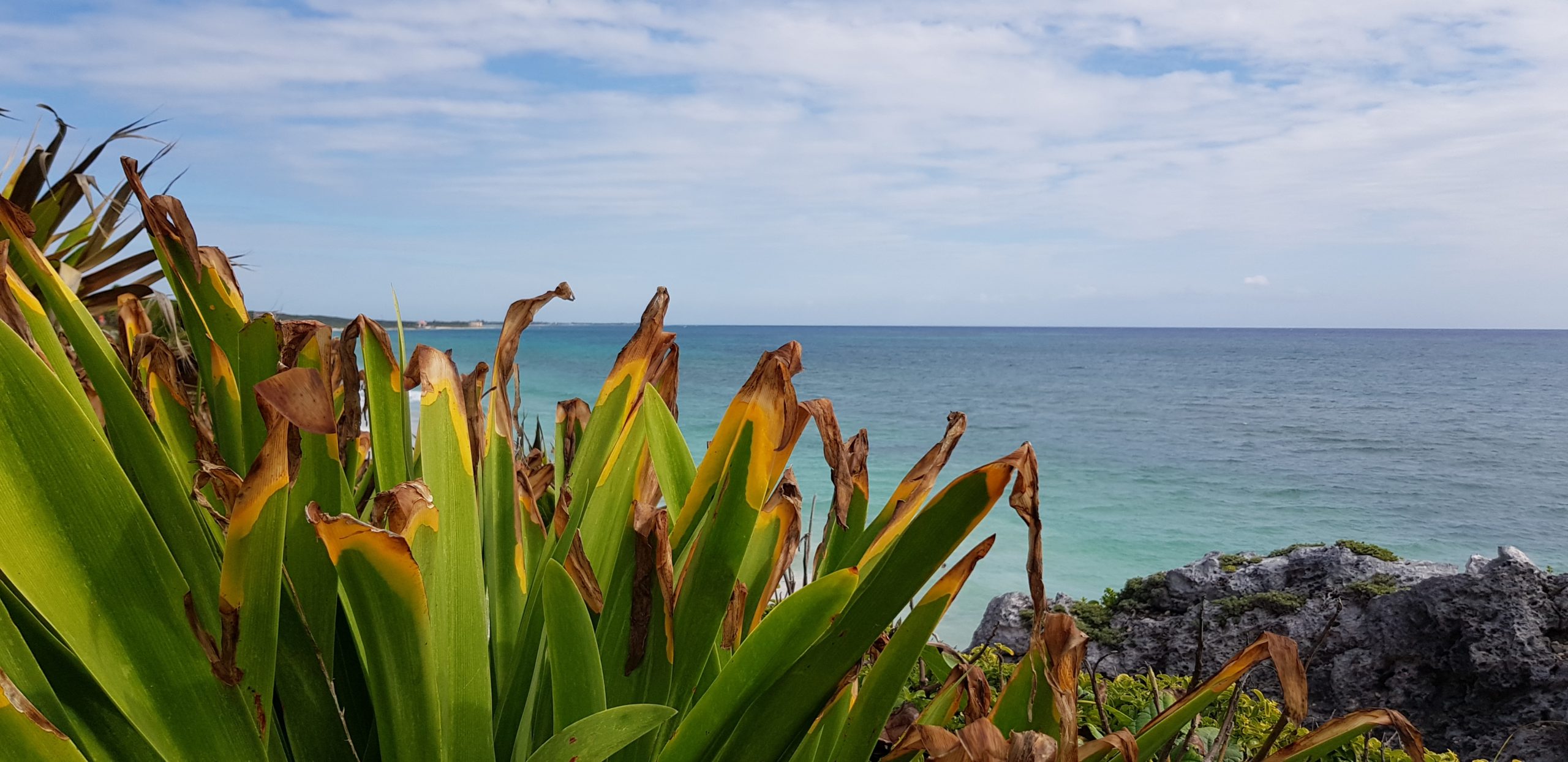 Tulum