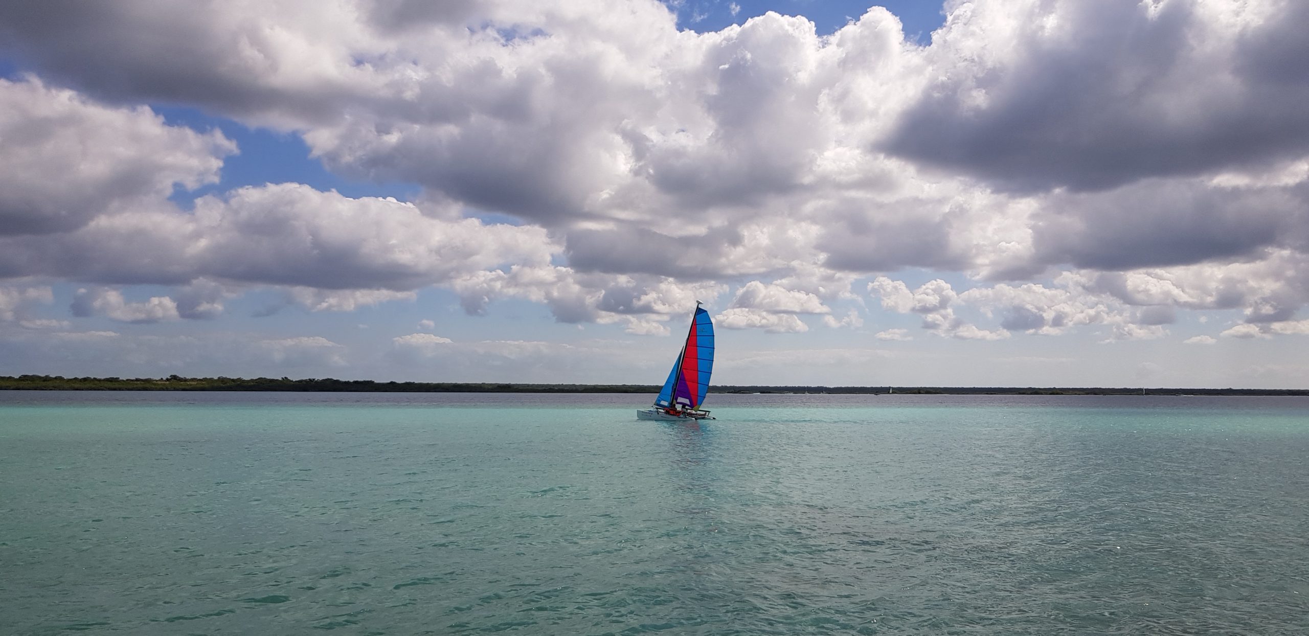 Bacalar