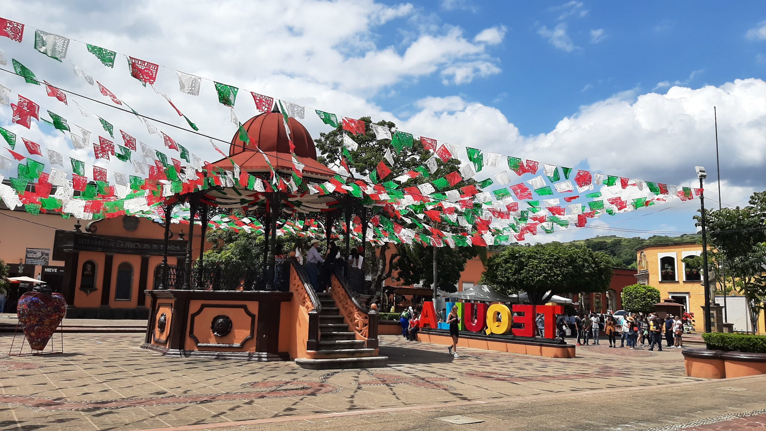 El grito de salud