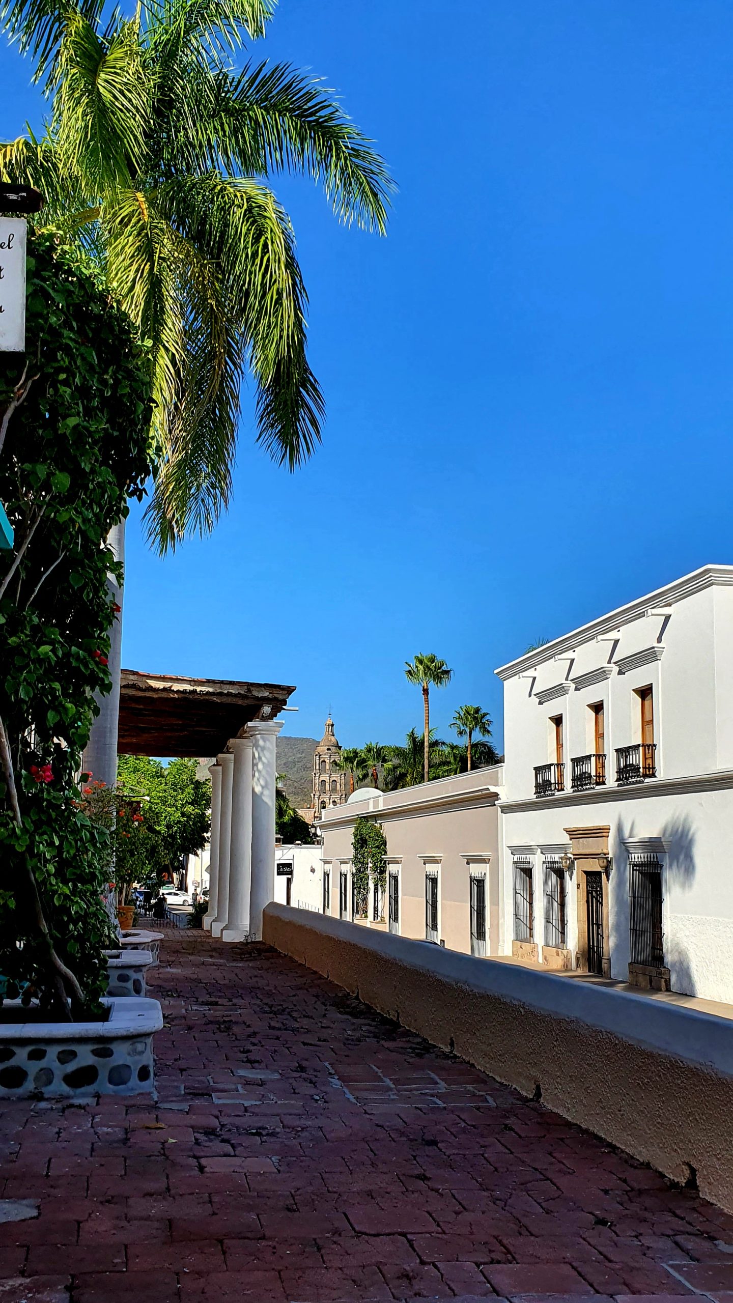 Calles Históricas y Mágicas de Alamos Sonora