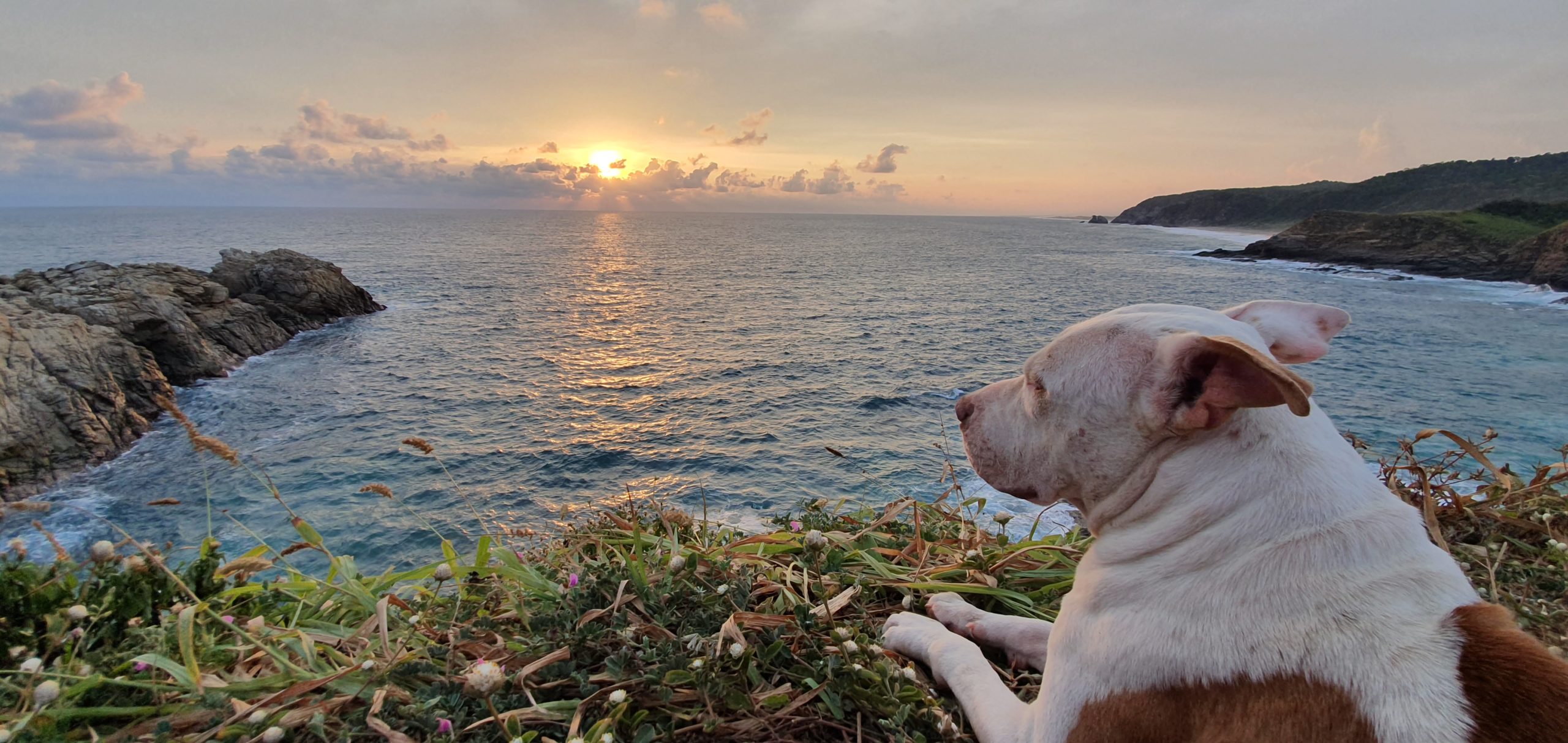 Disfutando de un atardecer