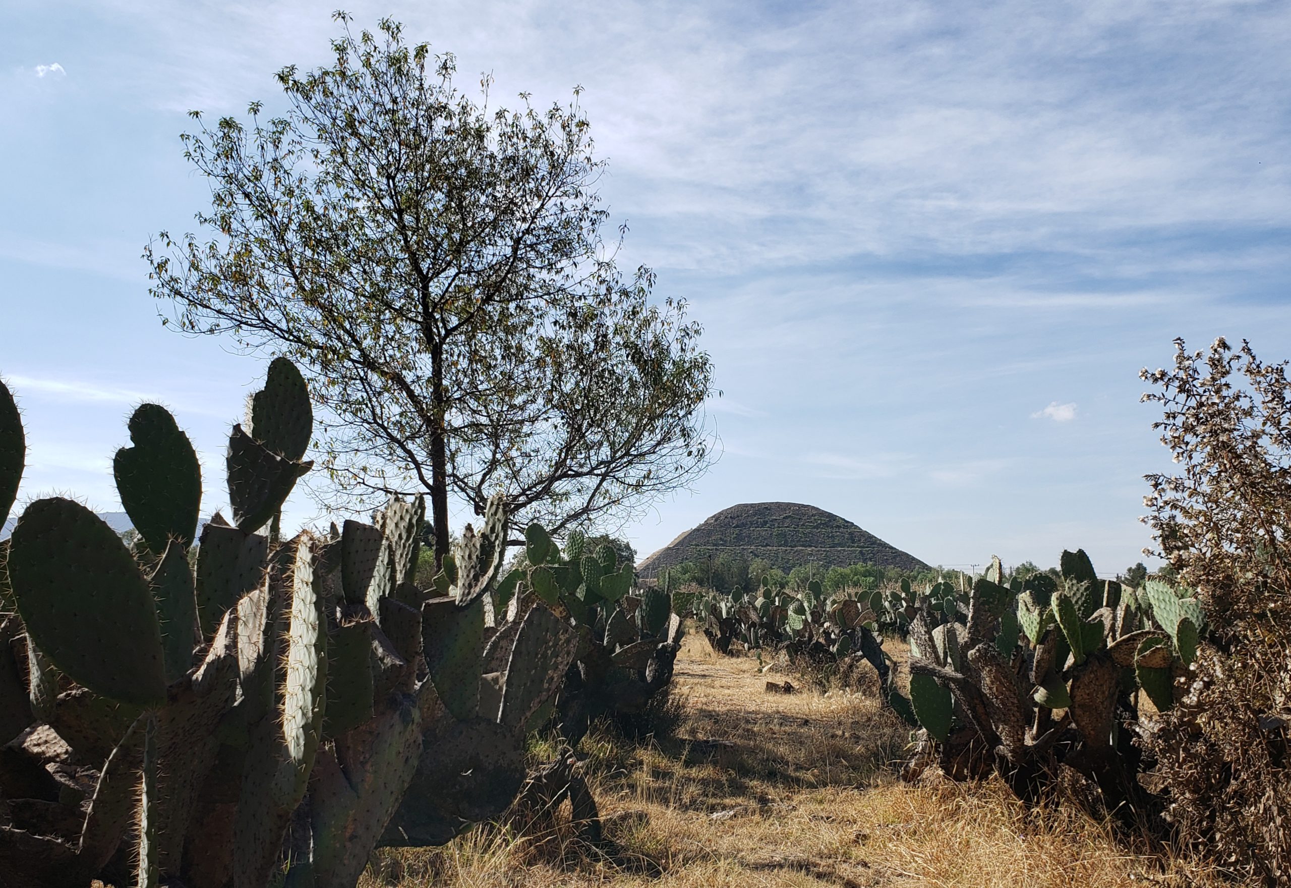 TEOTIHUACAN