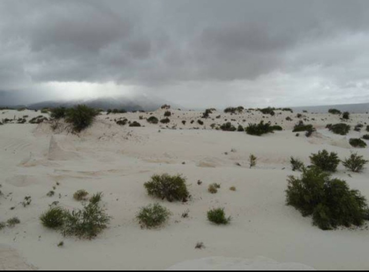 Cuatro Ciénegas, Coahuila.