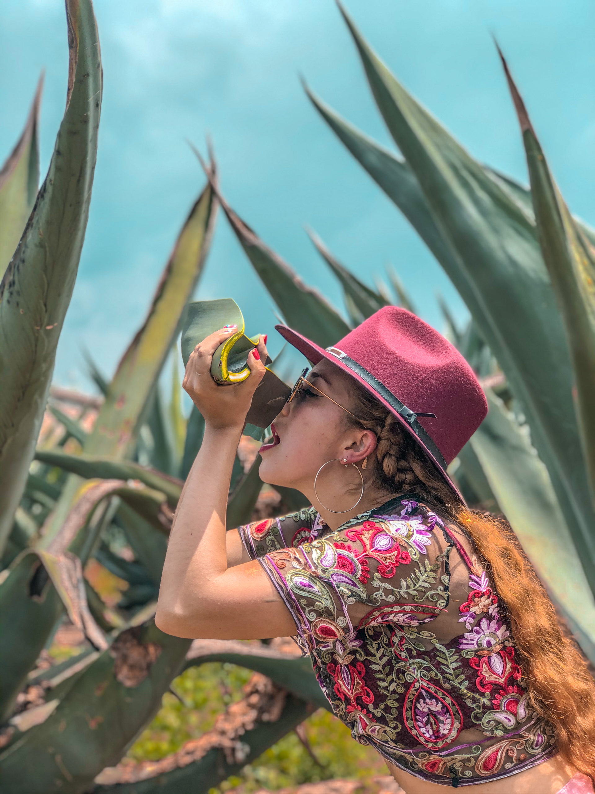 Pulque una Tradición Milenaria