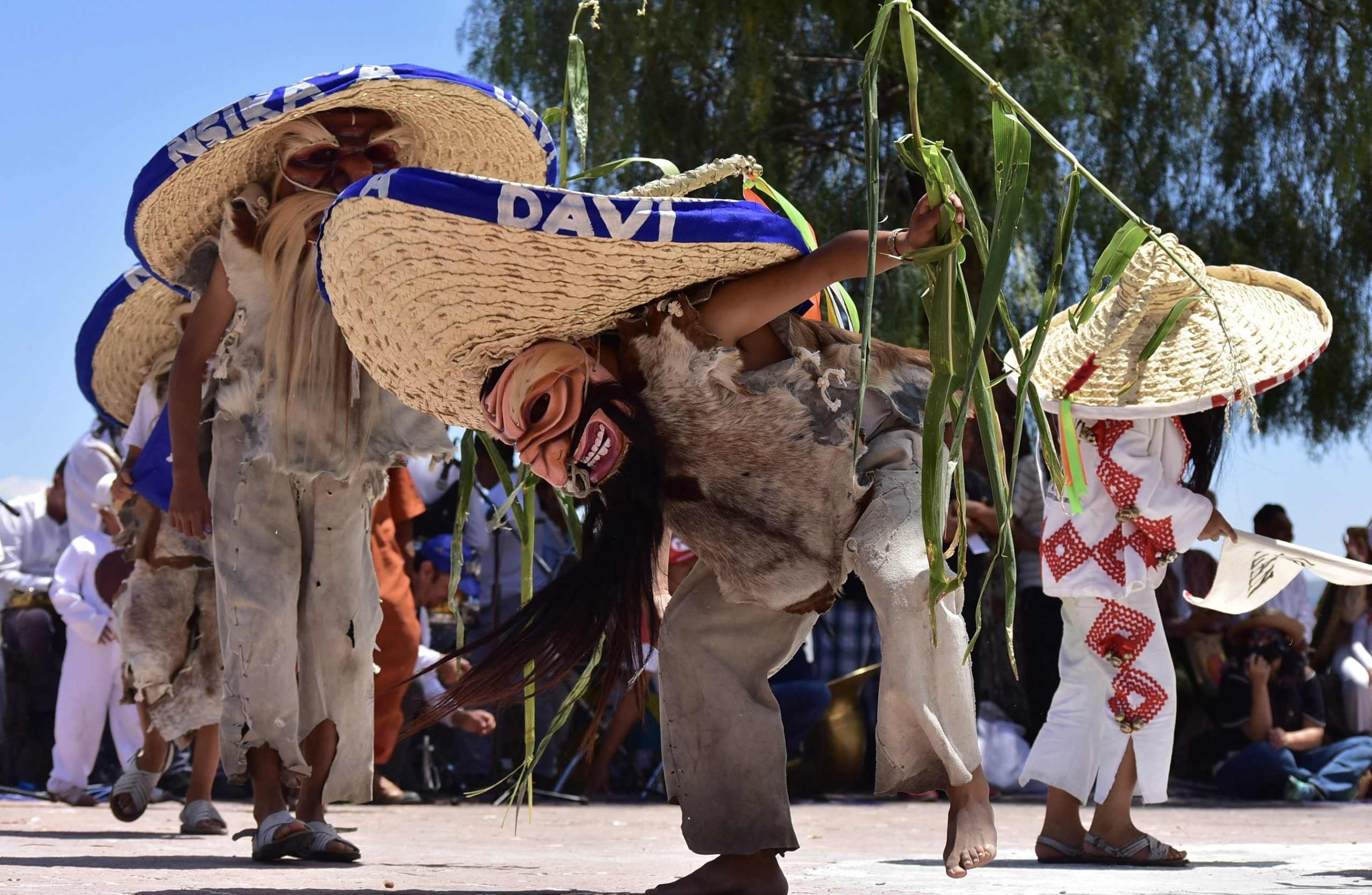 Danza de Tecuanes