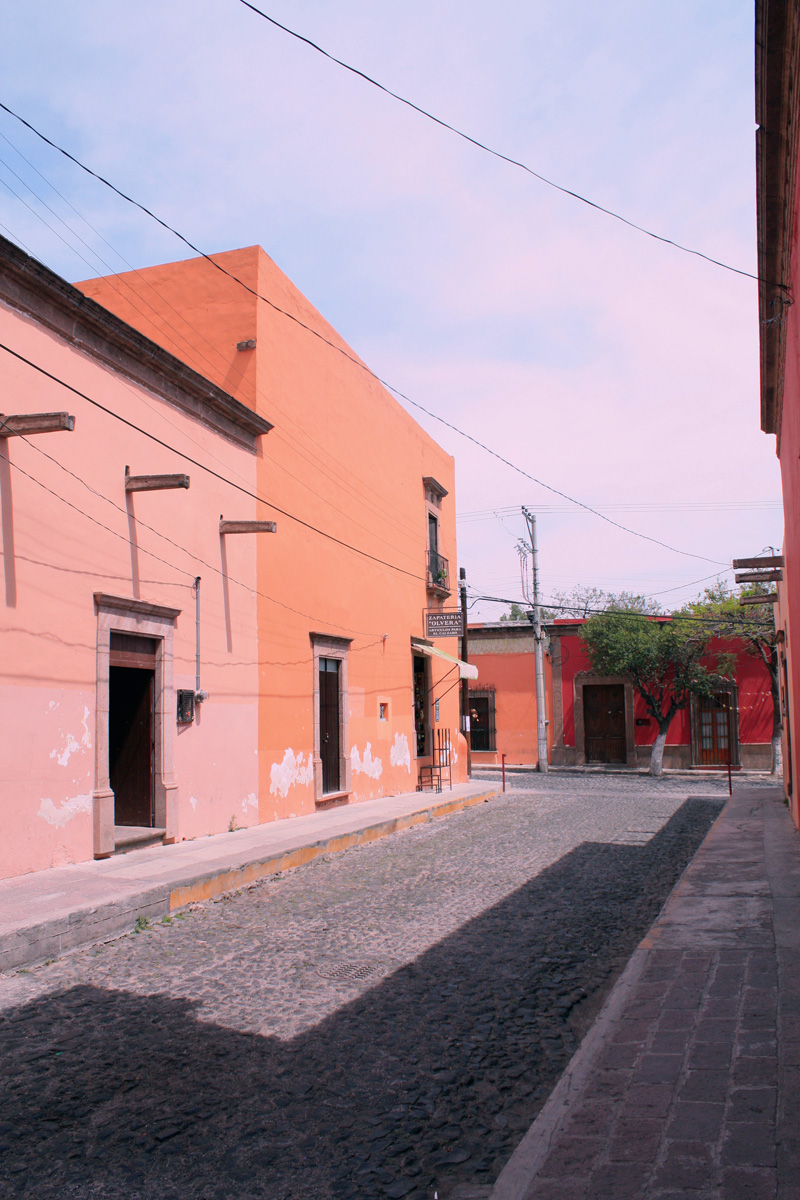 Las gárgolas de cantera - Reto La mejor foto de México