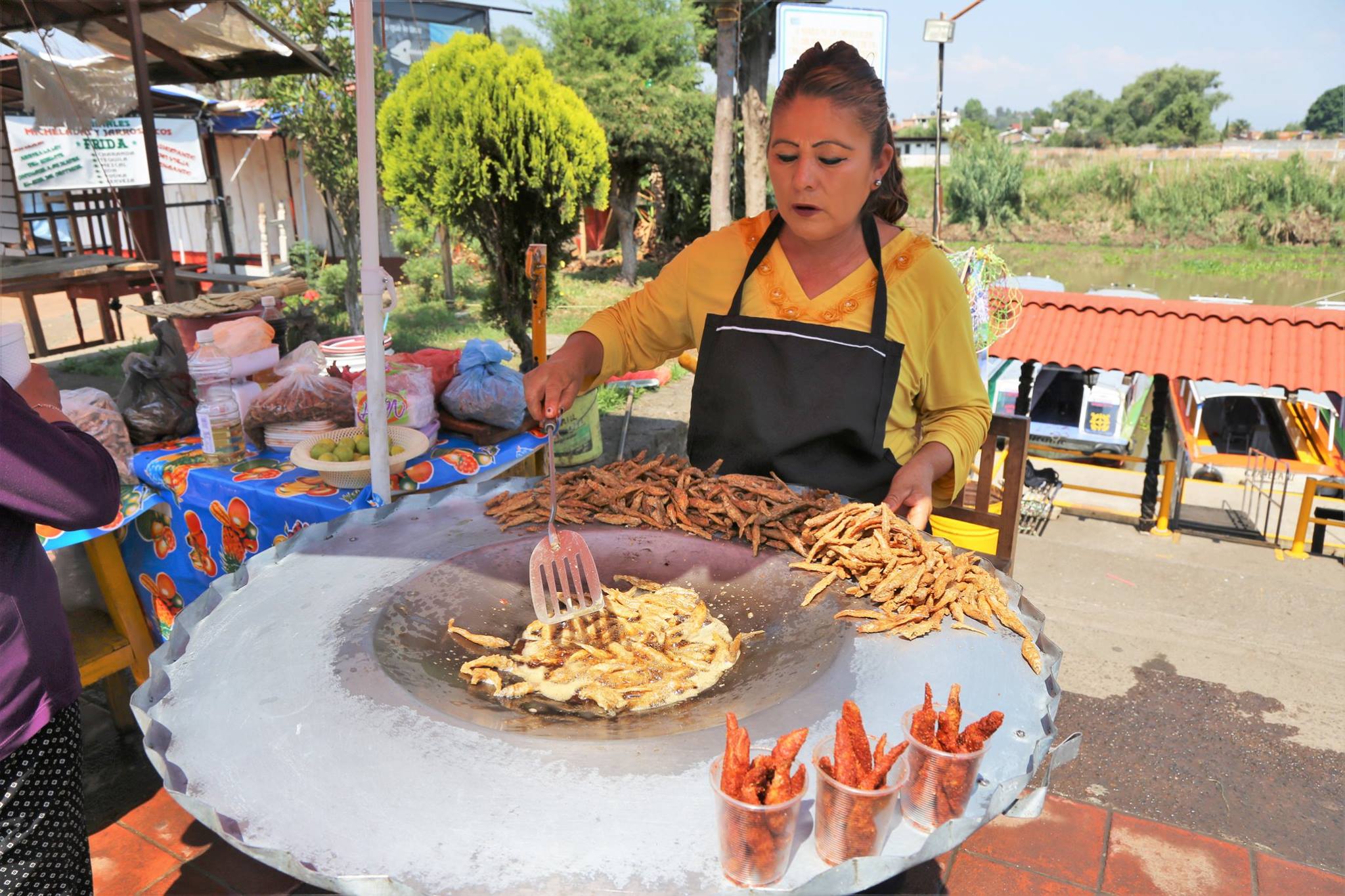 Delicias mexicanas