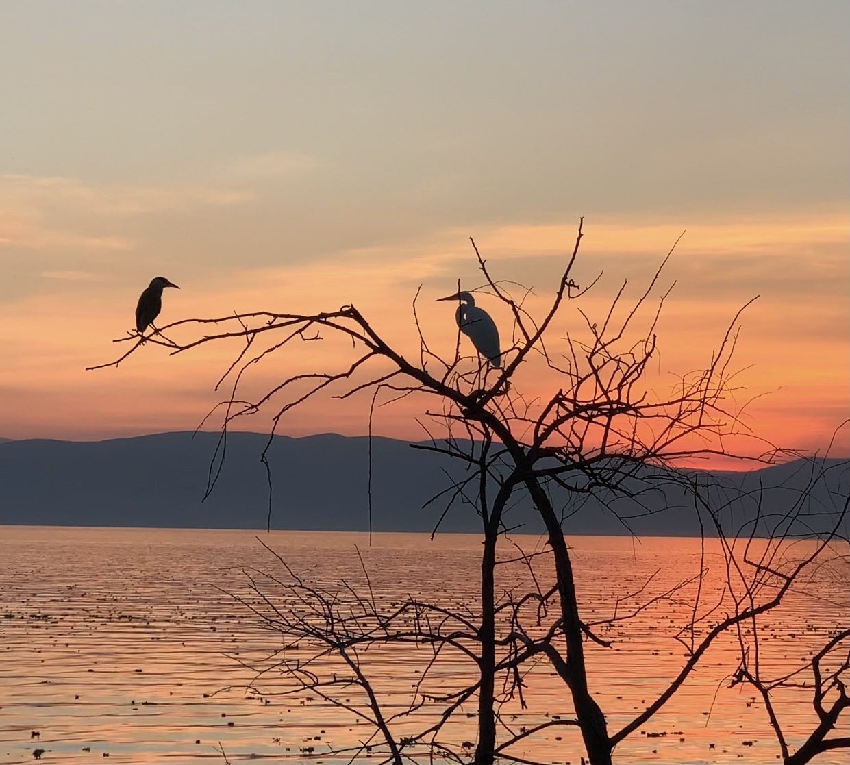 Atardecer romántico en Ajijic , Jalisco