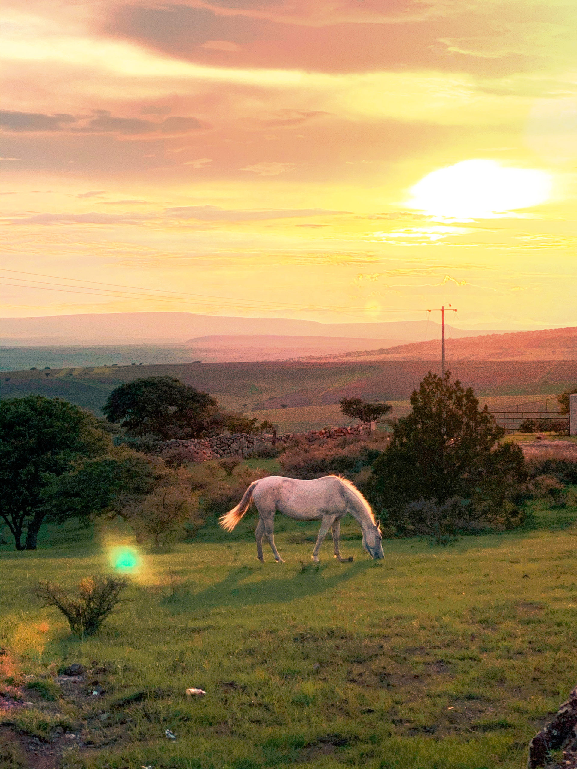 El atardecer en la sierra