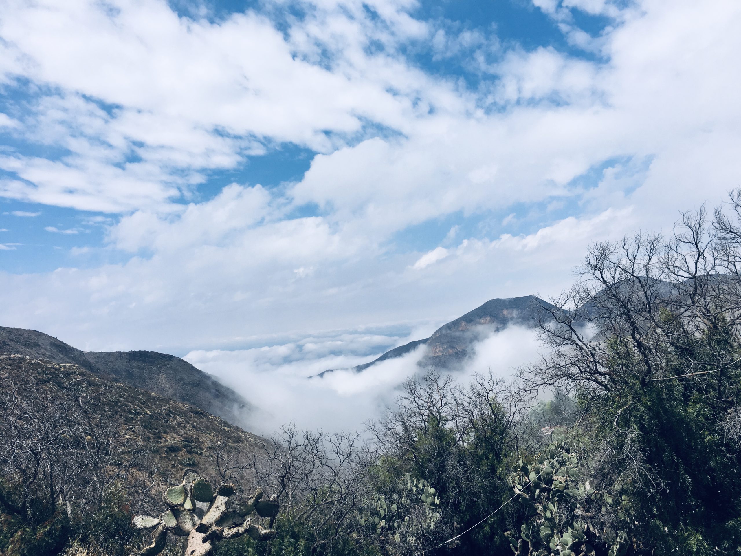 Nubes y niebla