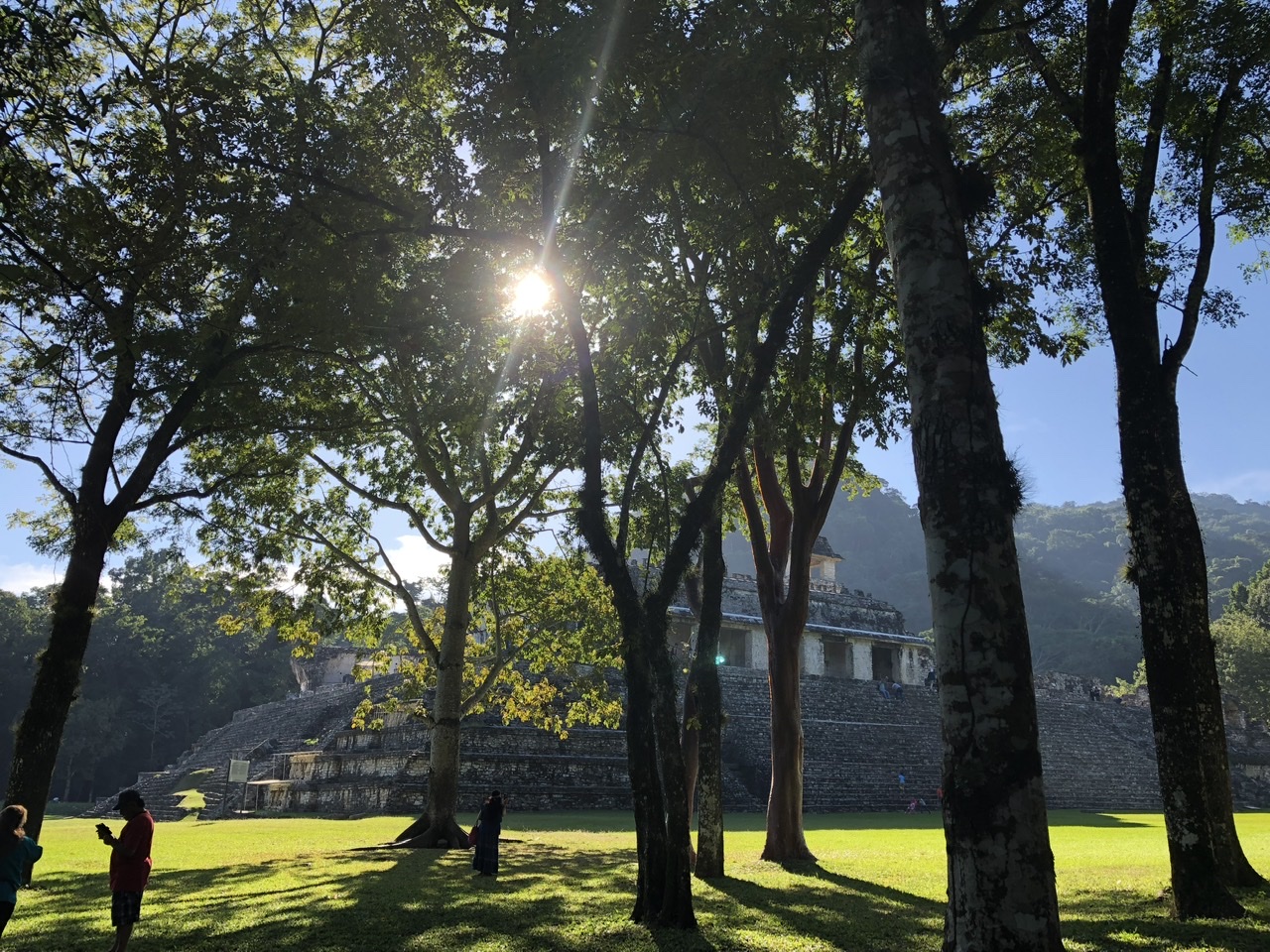 Palenque entre la naturaleza