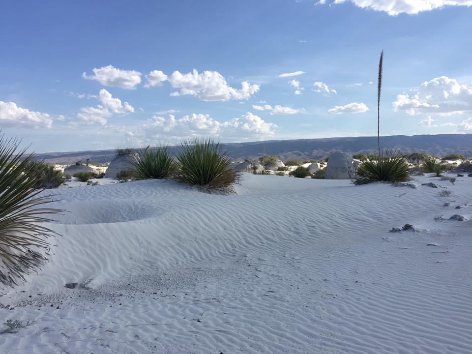 Arena blanca y figuras del viento.