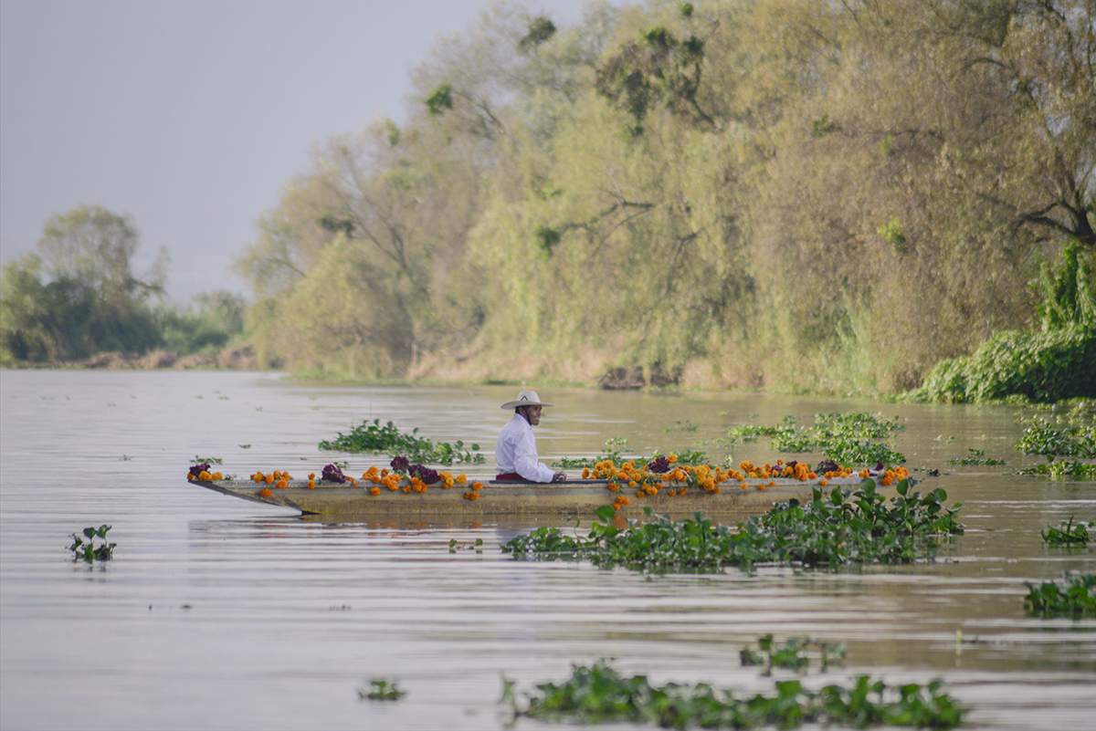 Pescador en tiempos de muertos