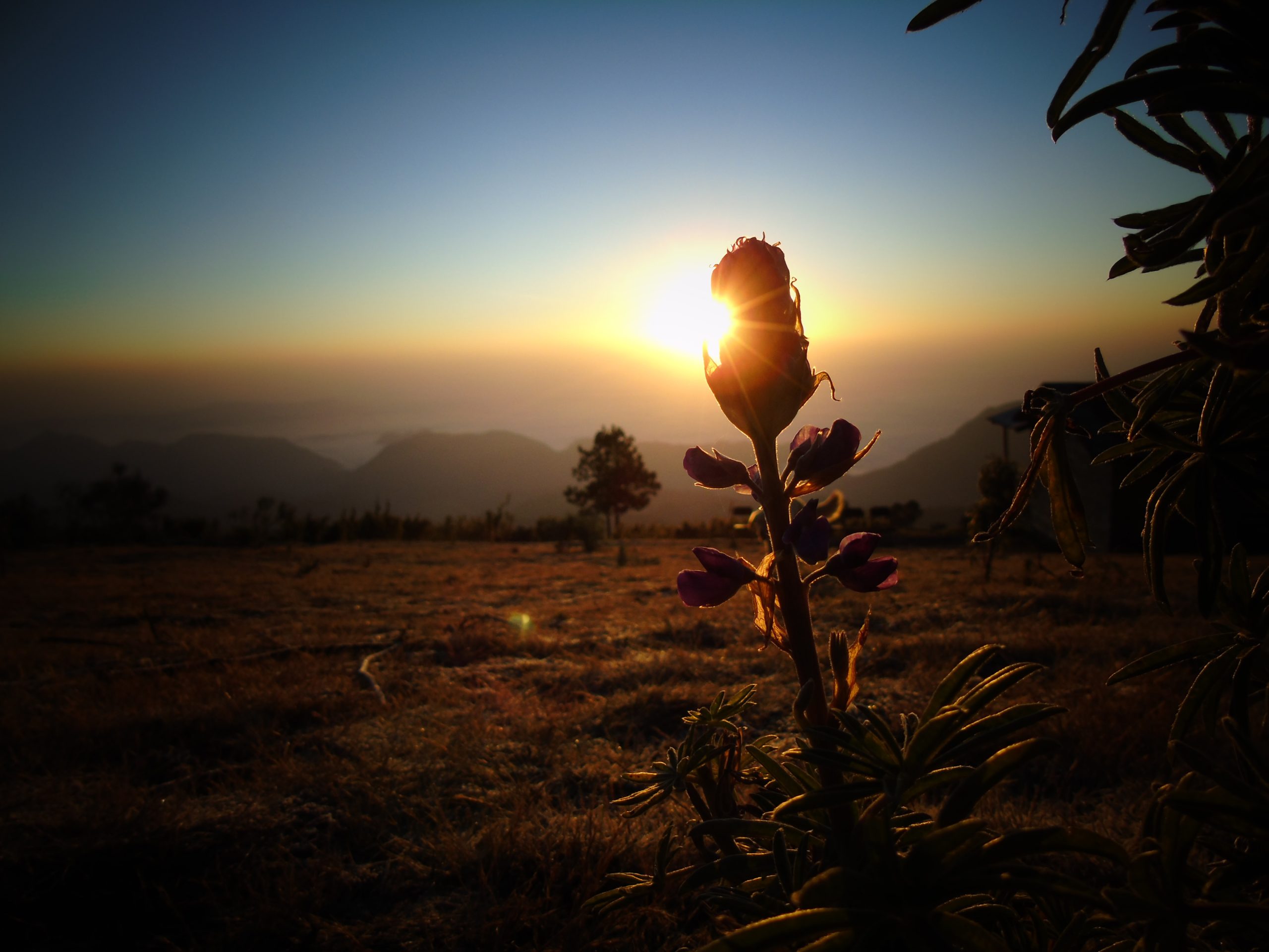 Amanecer en Pico de Orizaba