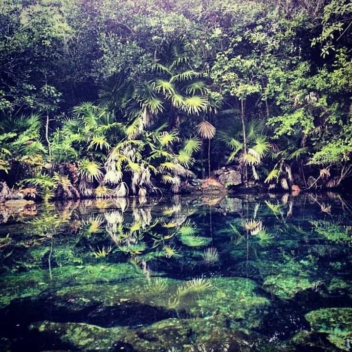 CENOTE CON VISTA AL CIELO