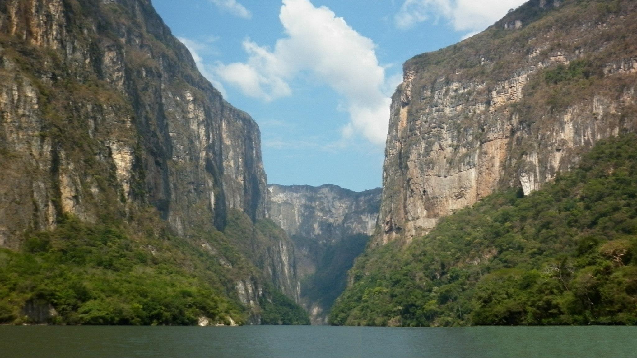 Escudo de Chiapas