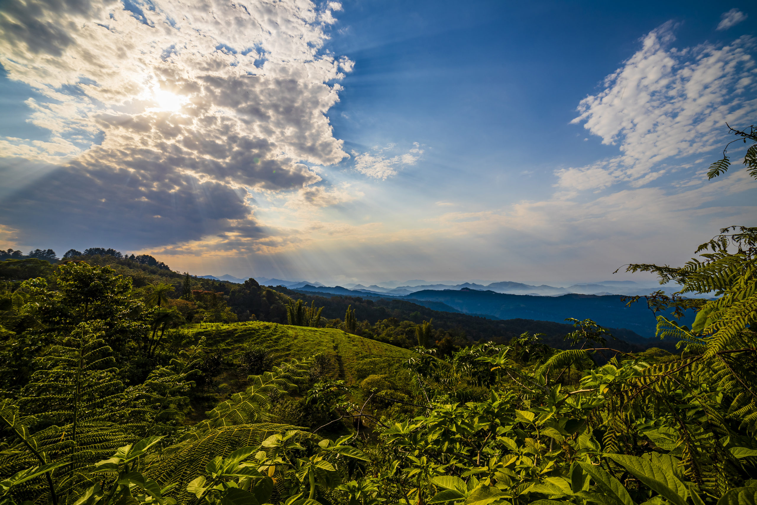 Serranía Cuetzalan