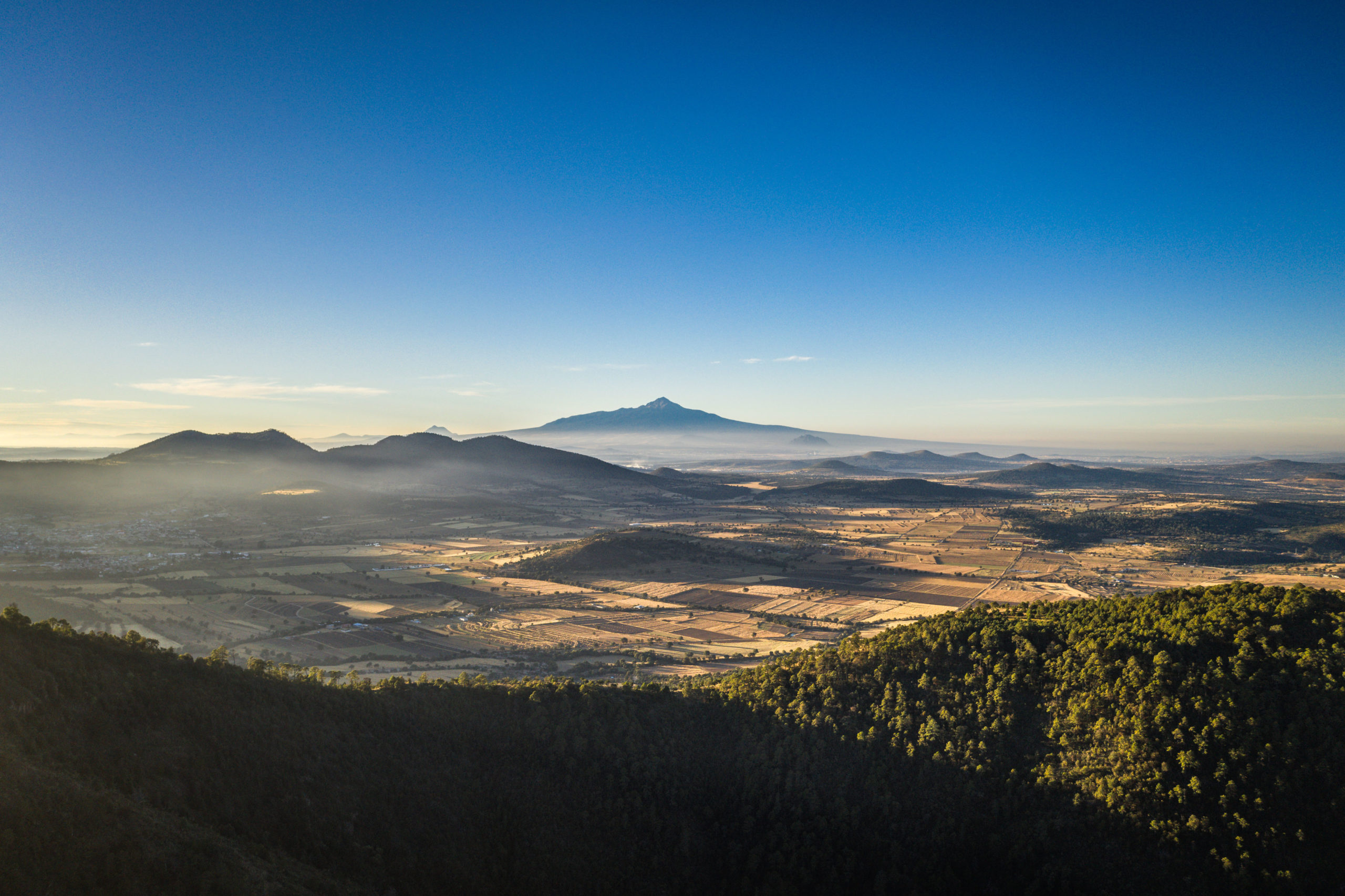 Malinche