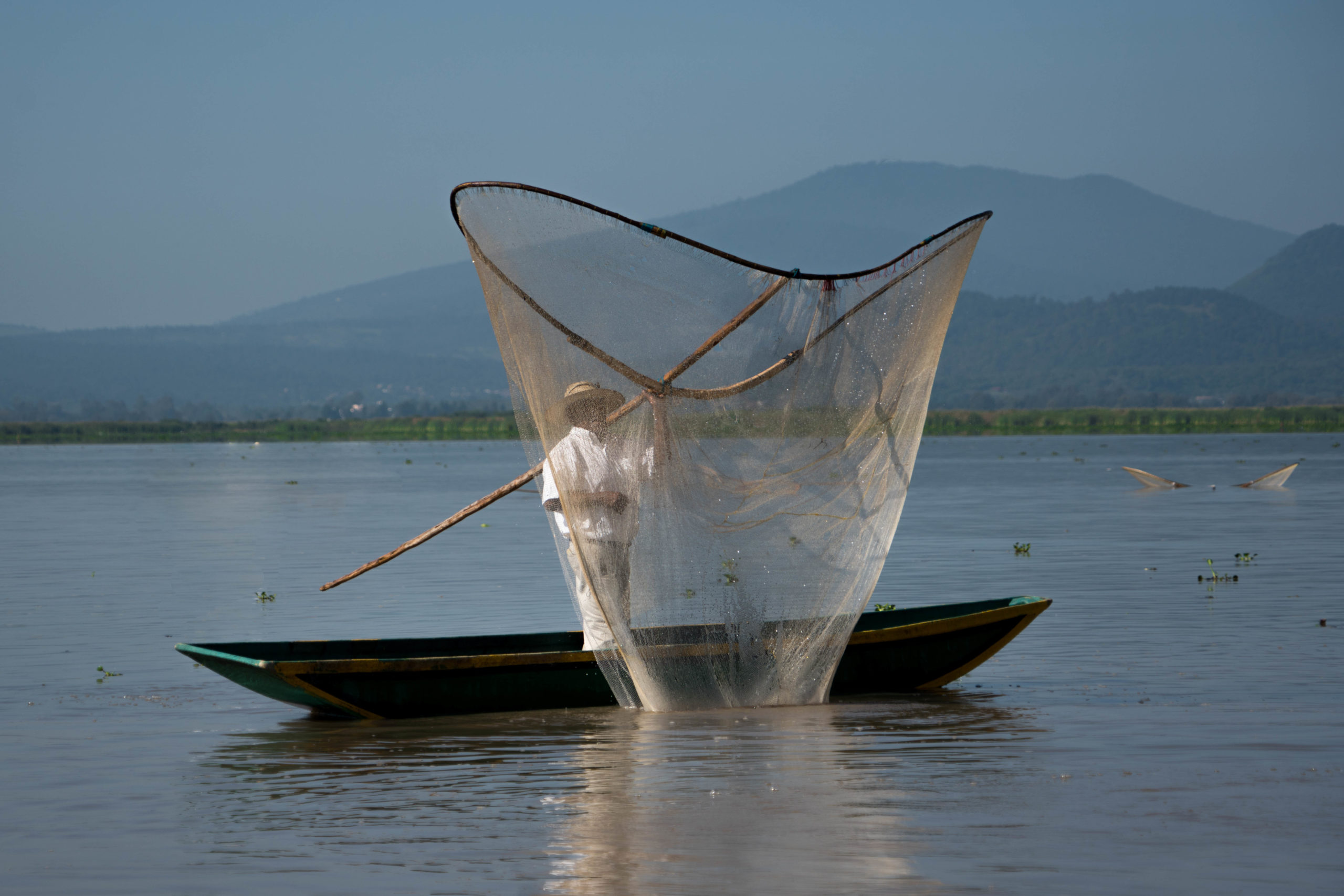 Arriba la Pesca