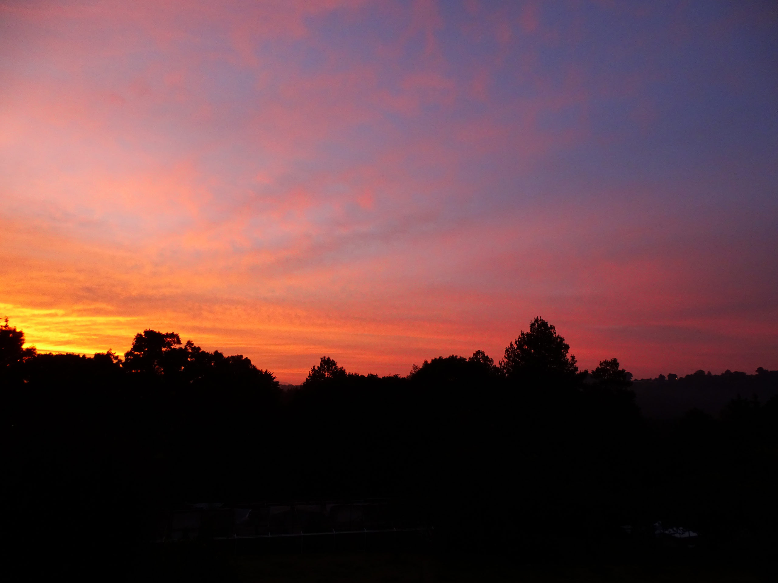 Cielo Rojo