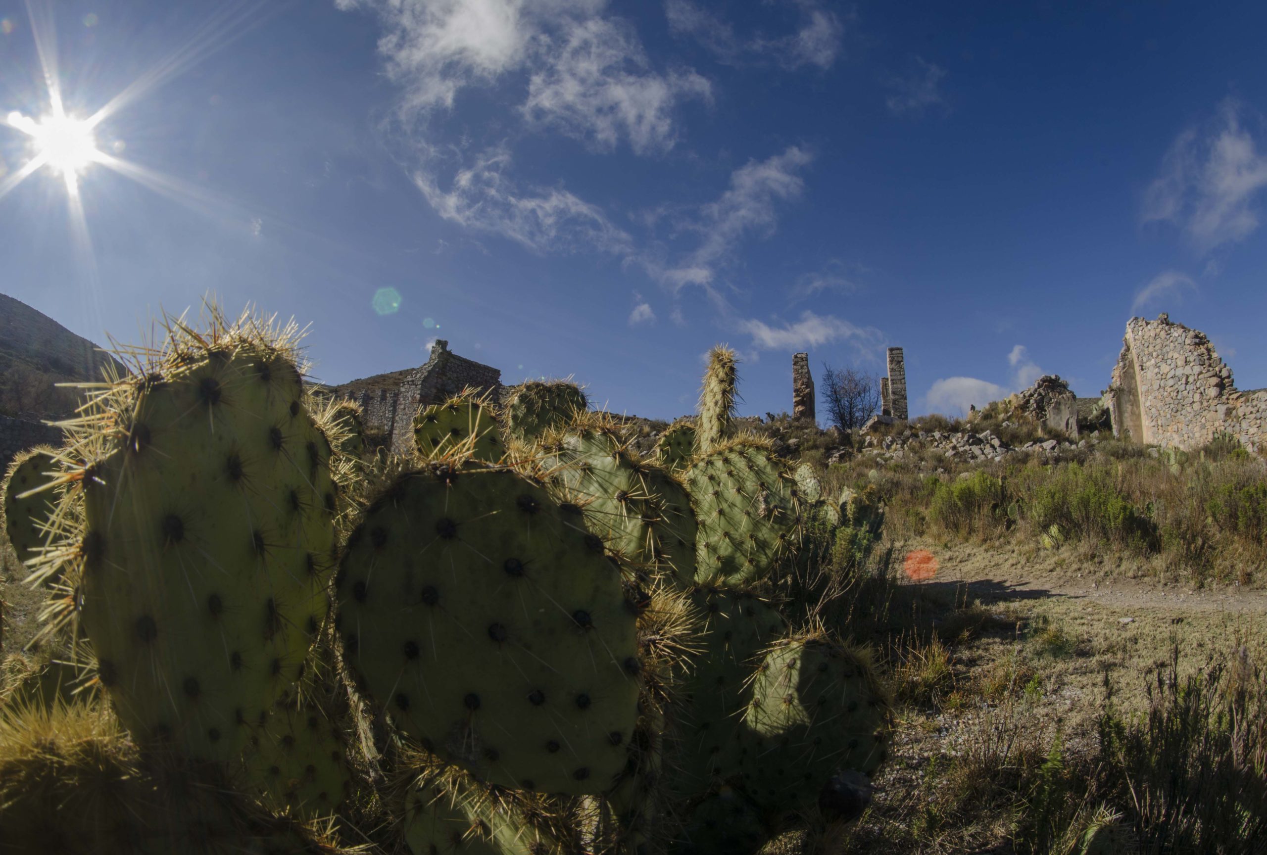 Paisaje desértico en Real de Catorce