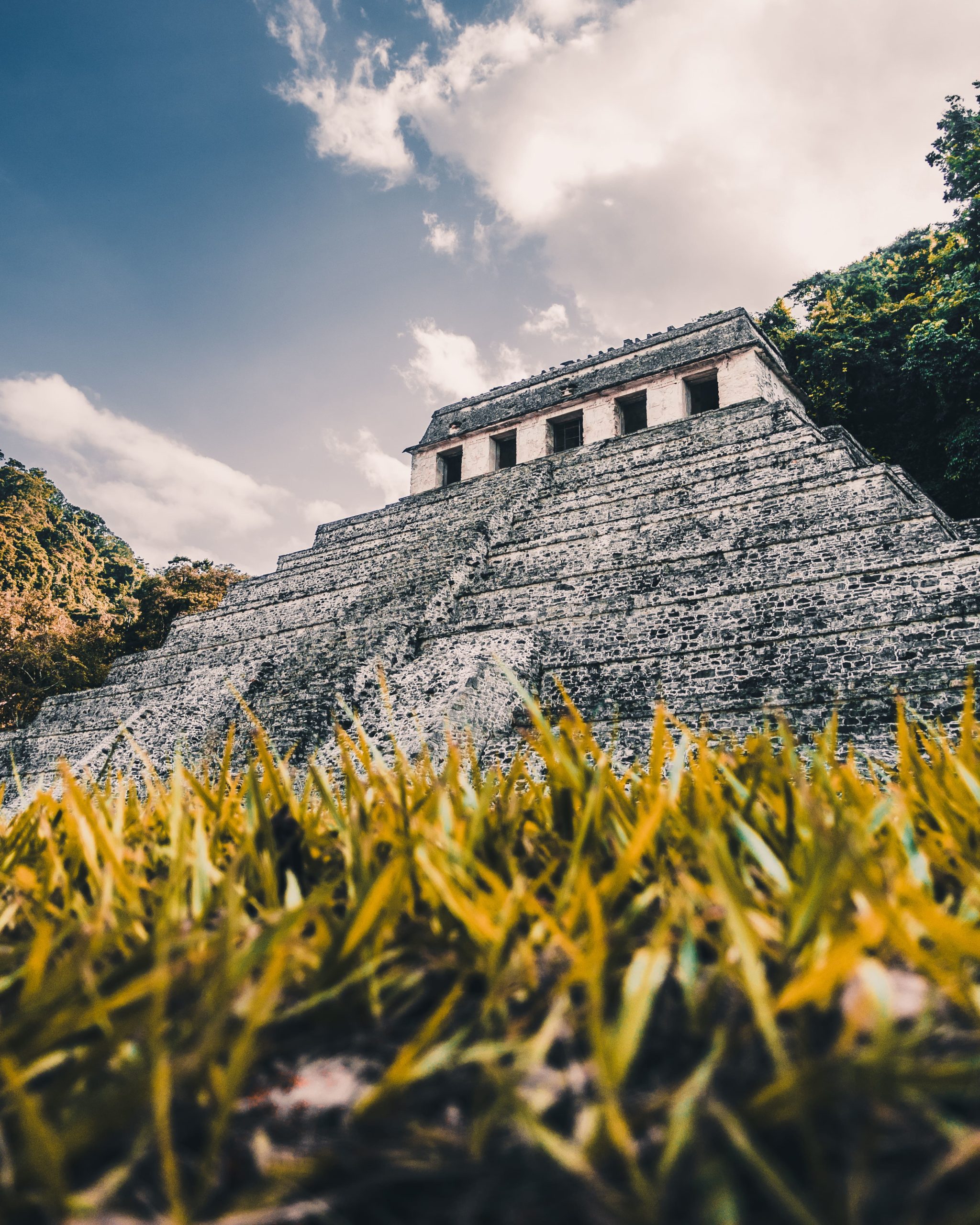 Palenque: tierra de reliquias