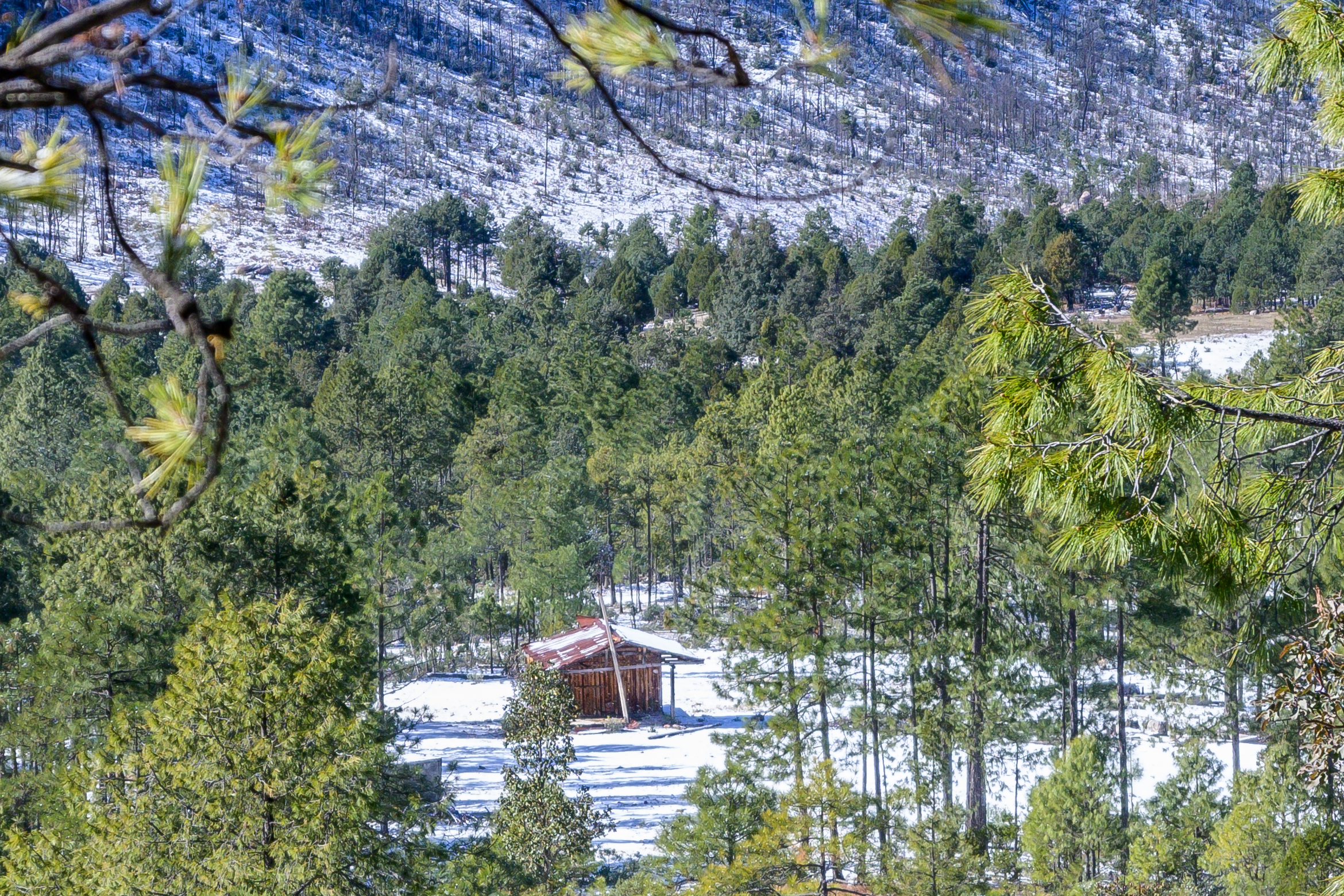 Paisaje Blanco