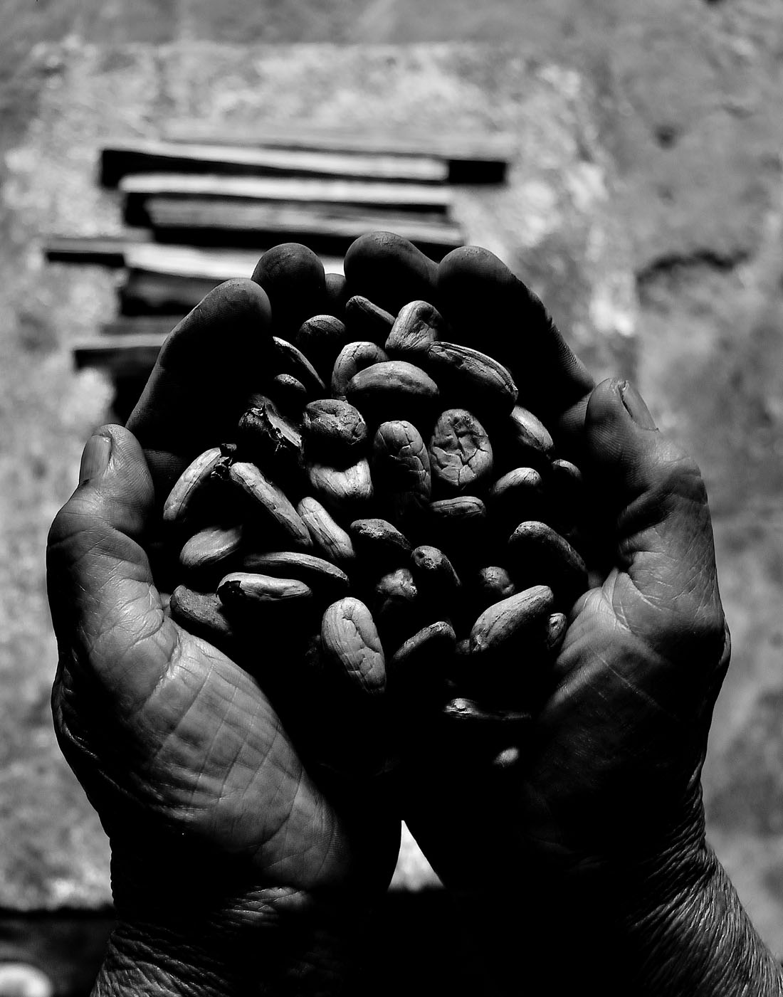 Chocolate artesanal para dia de muertos.