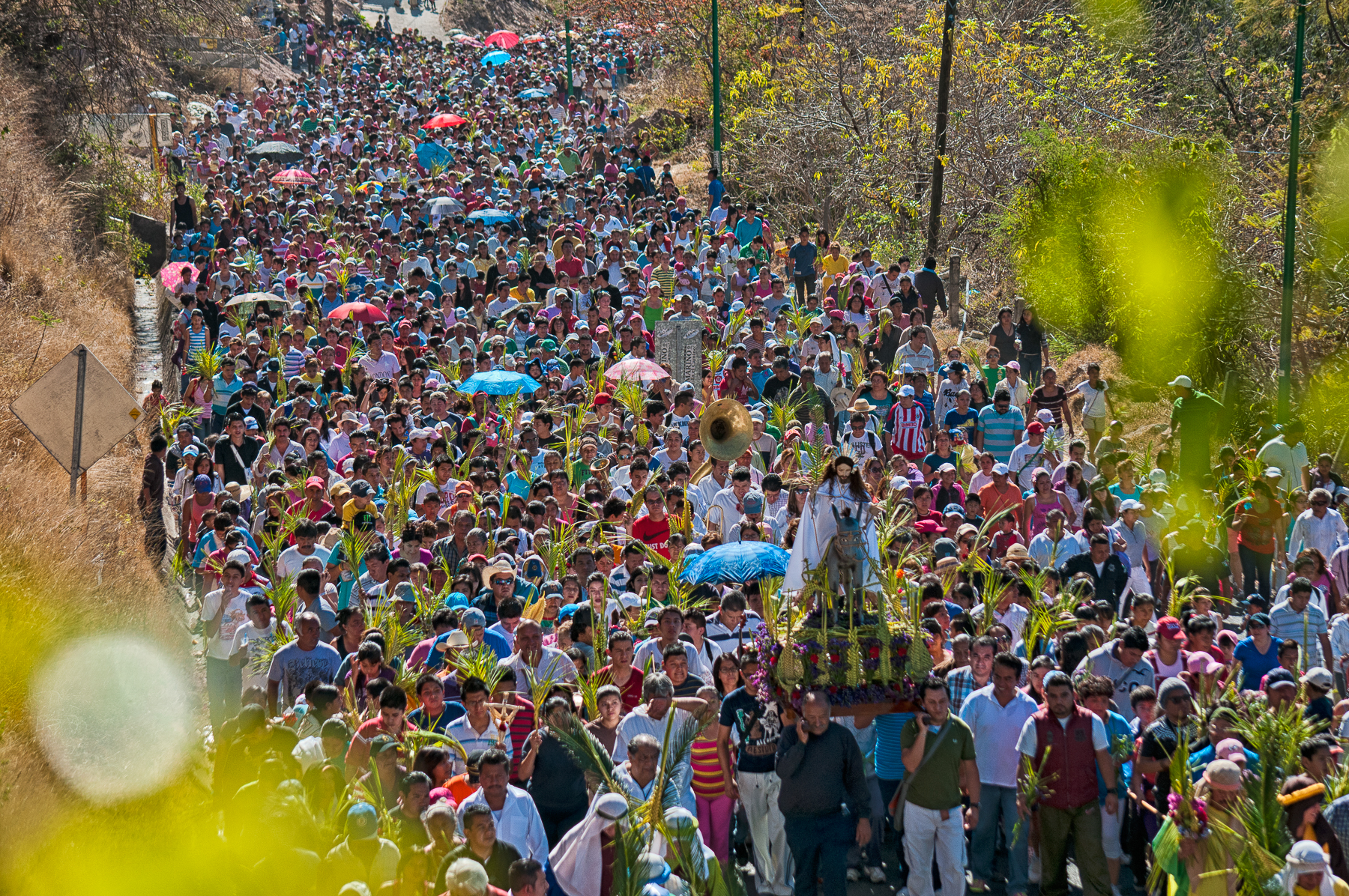 Domingo de Ramos