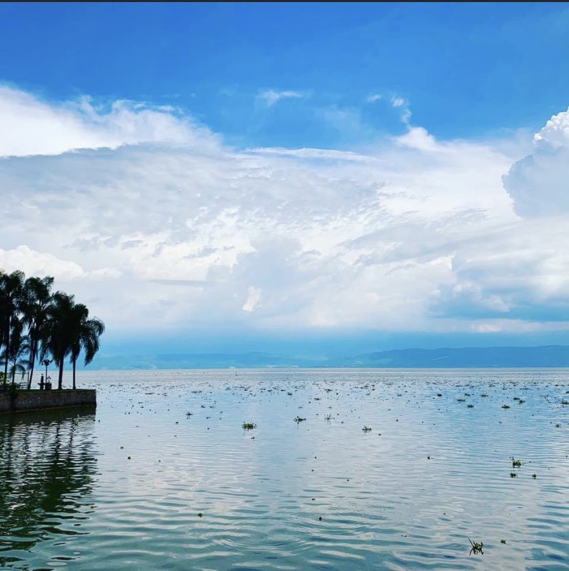 Azules dé Ajijic