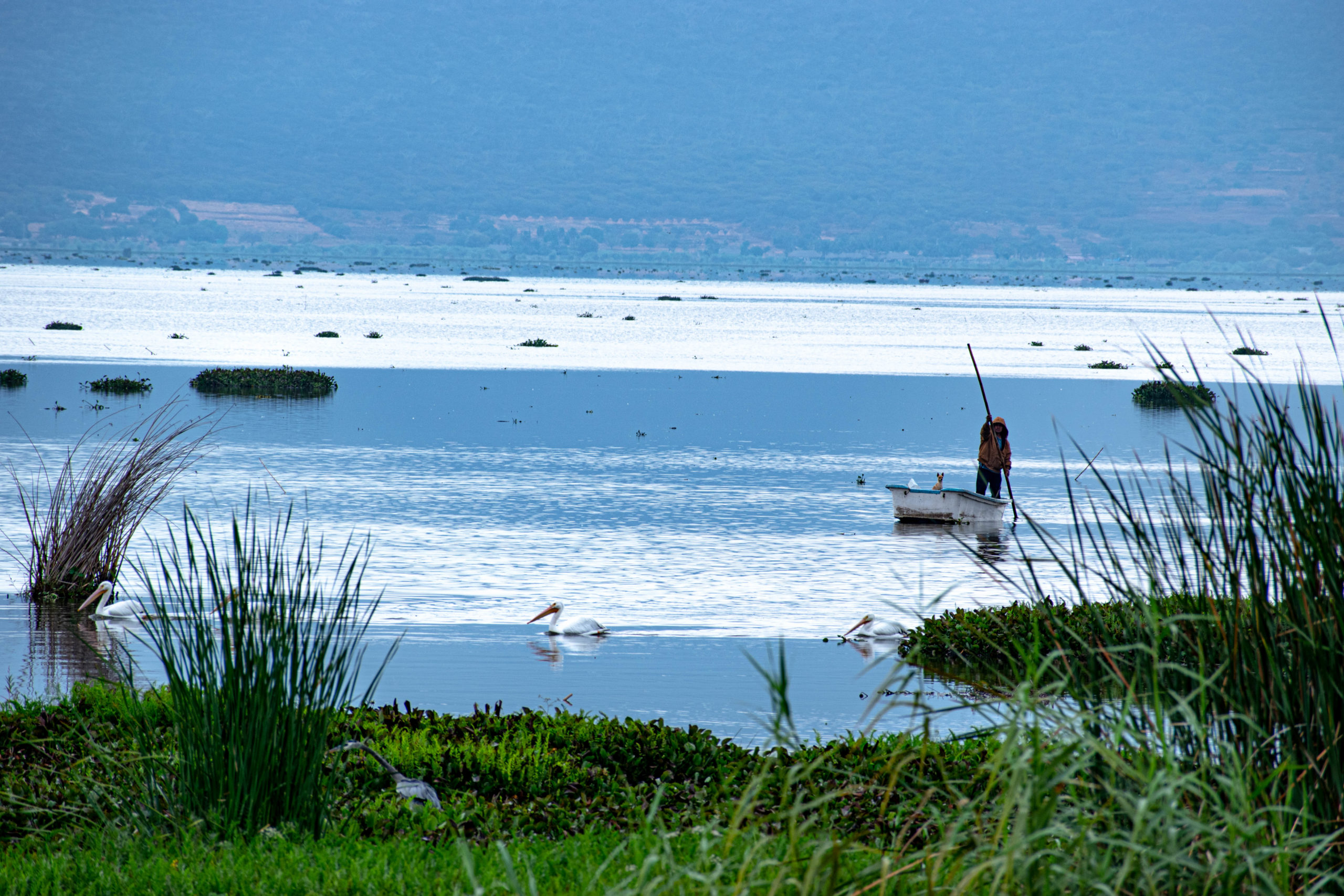 EL PESCADOR ACOMPAÑADO