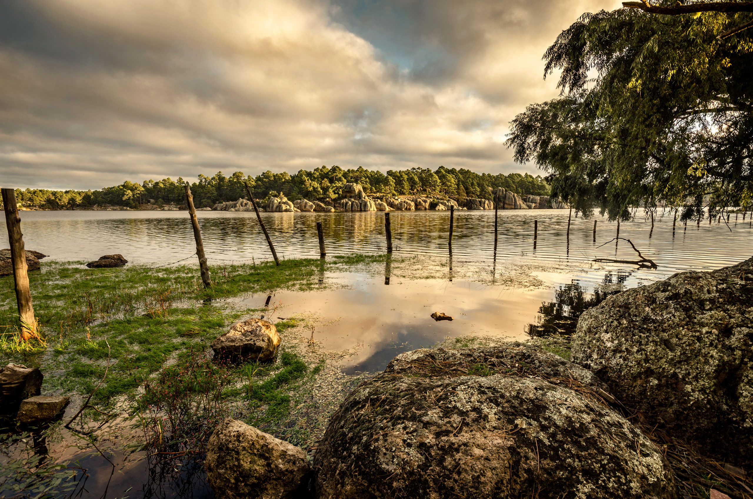 Lago de Arareco