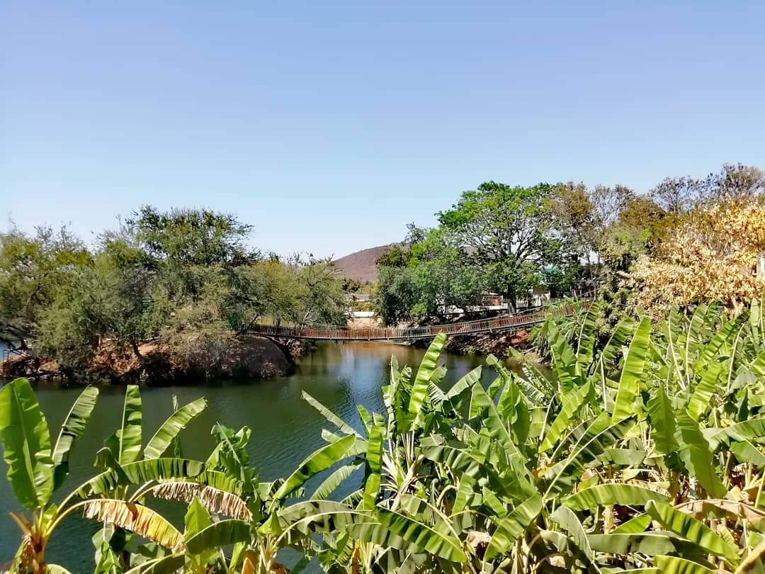 Laguna del iguanero