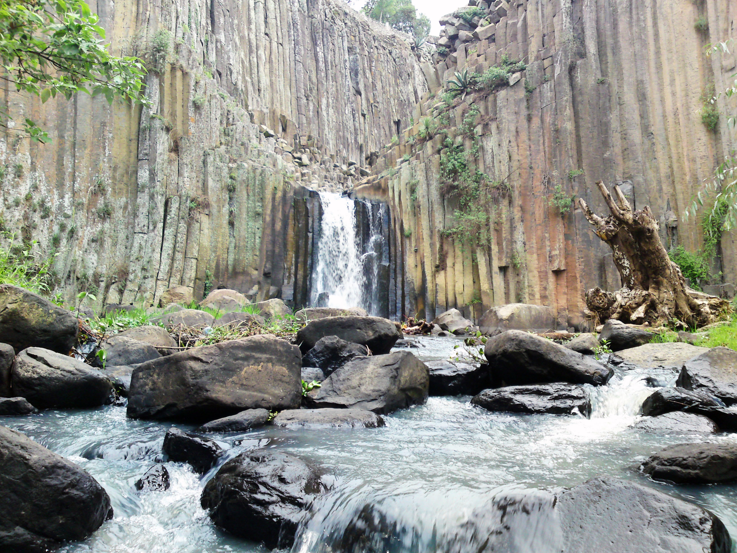 Prismas Basálticos en Huasca de Ocampo