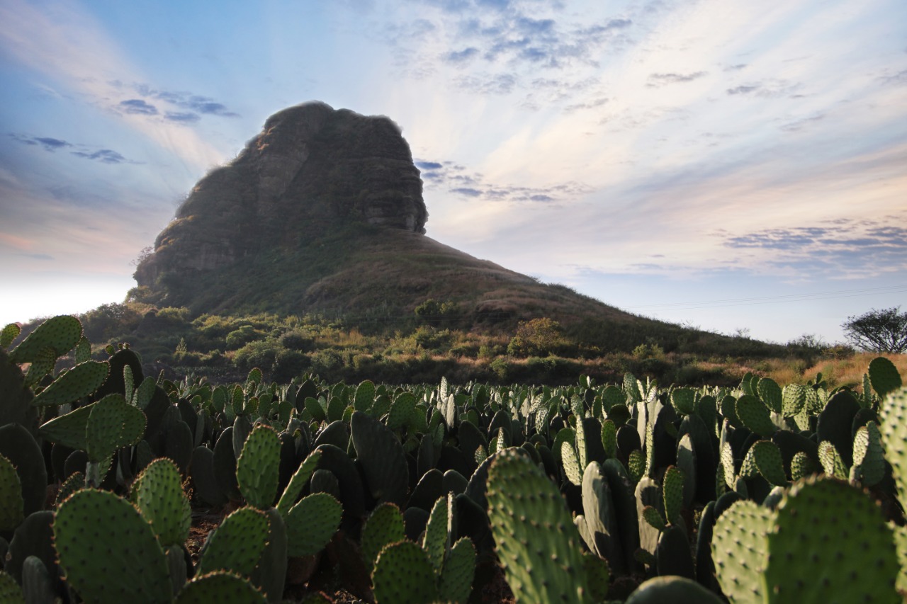 Visión Naturaleza