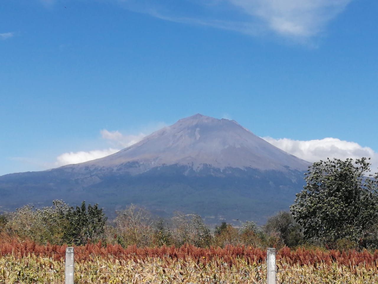 Don Goyo en otoño