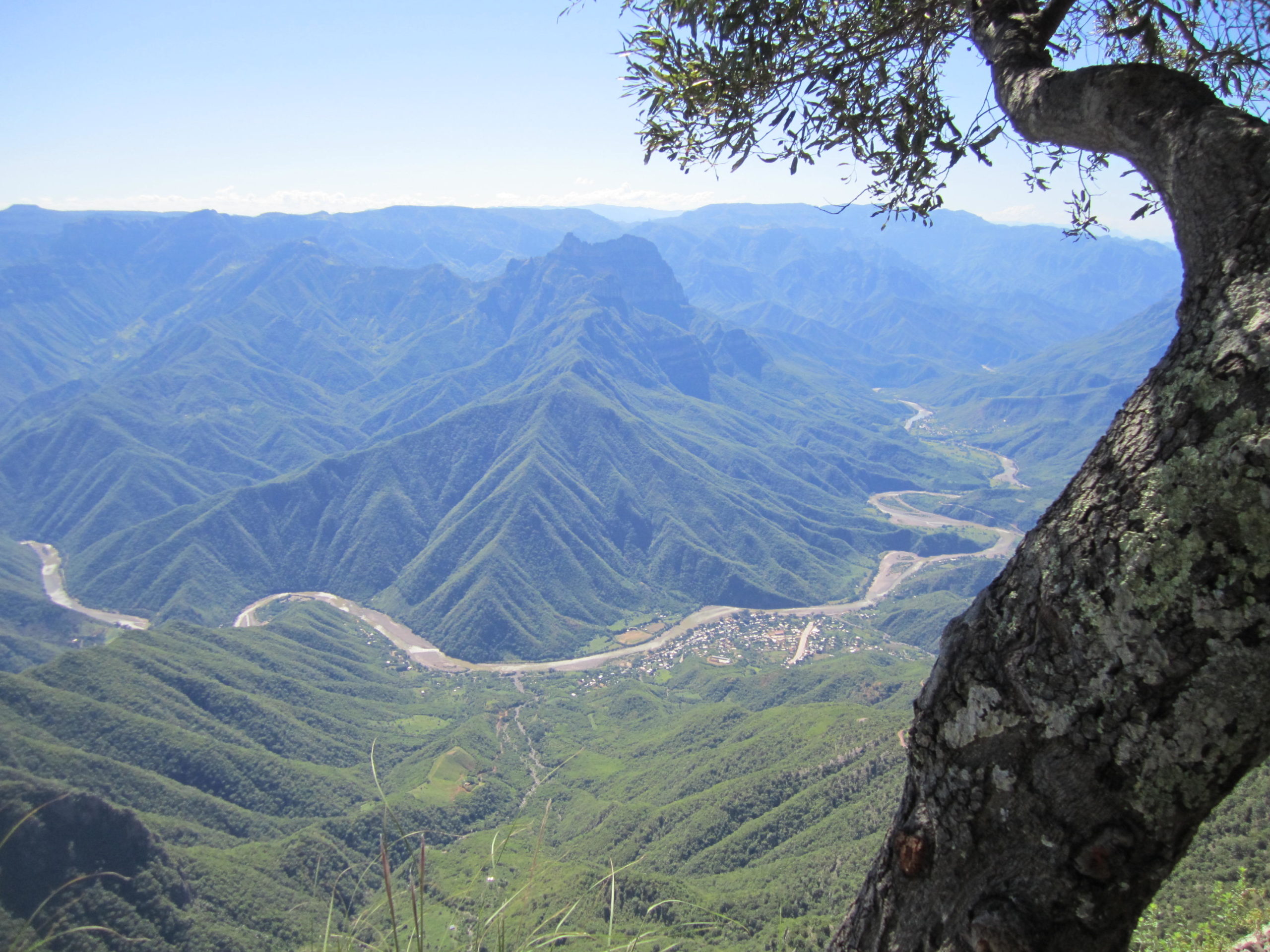 Barrancas del Cobre