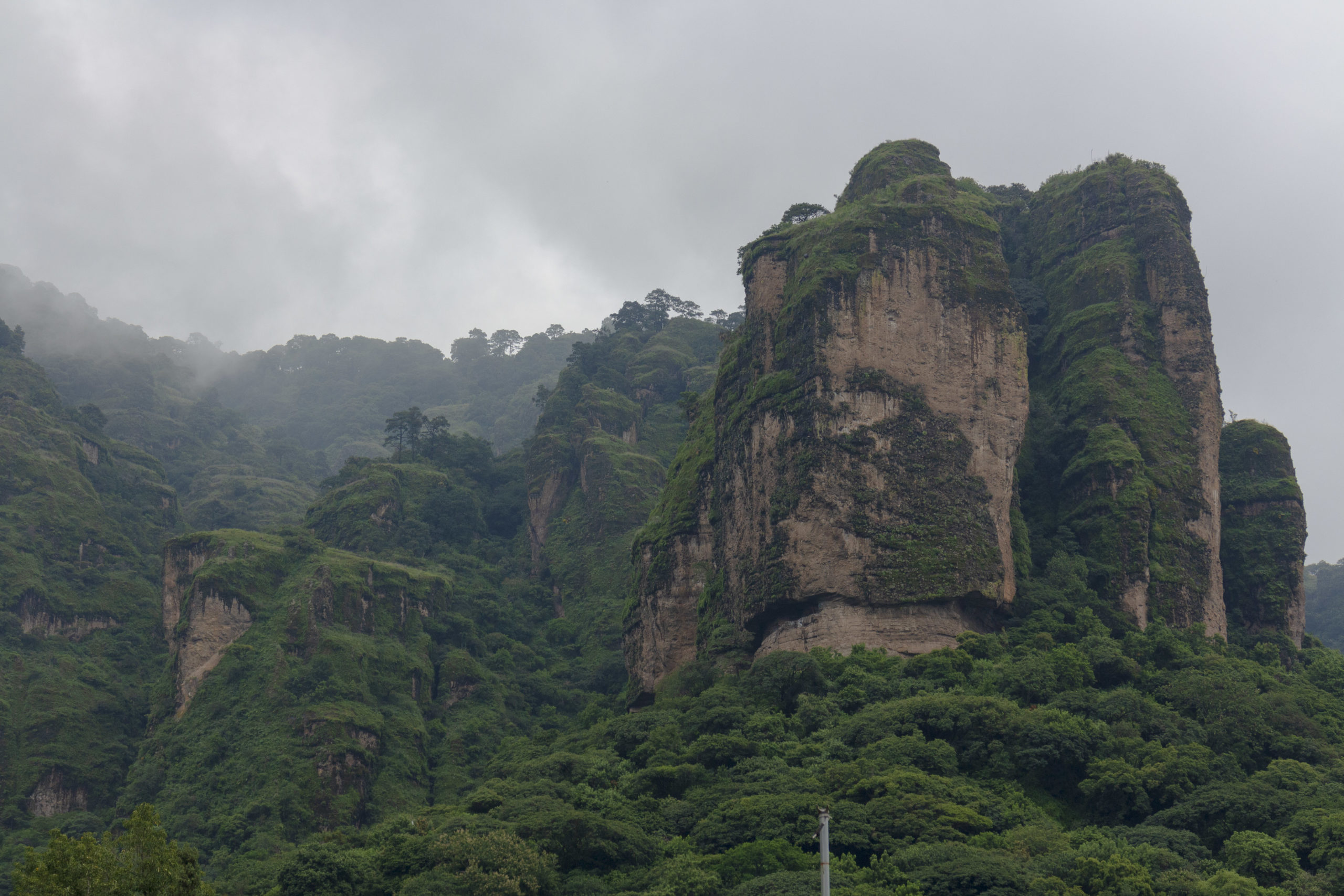 Niebla mágica