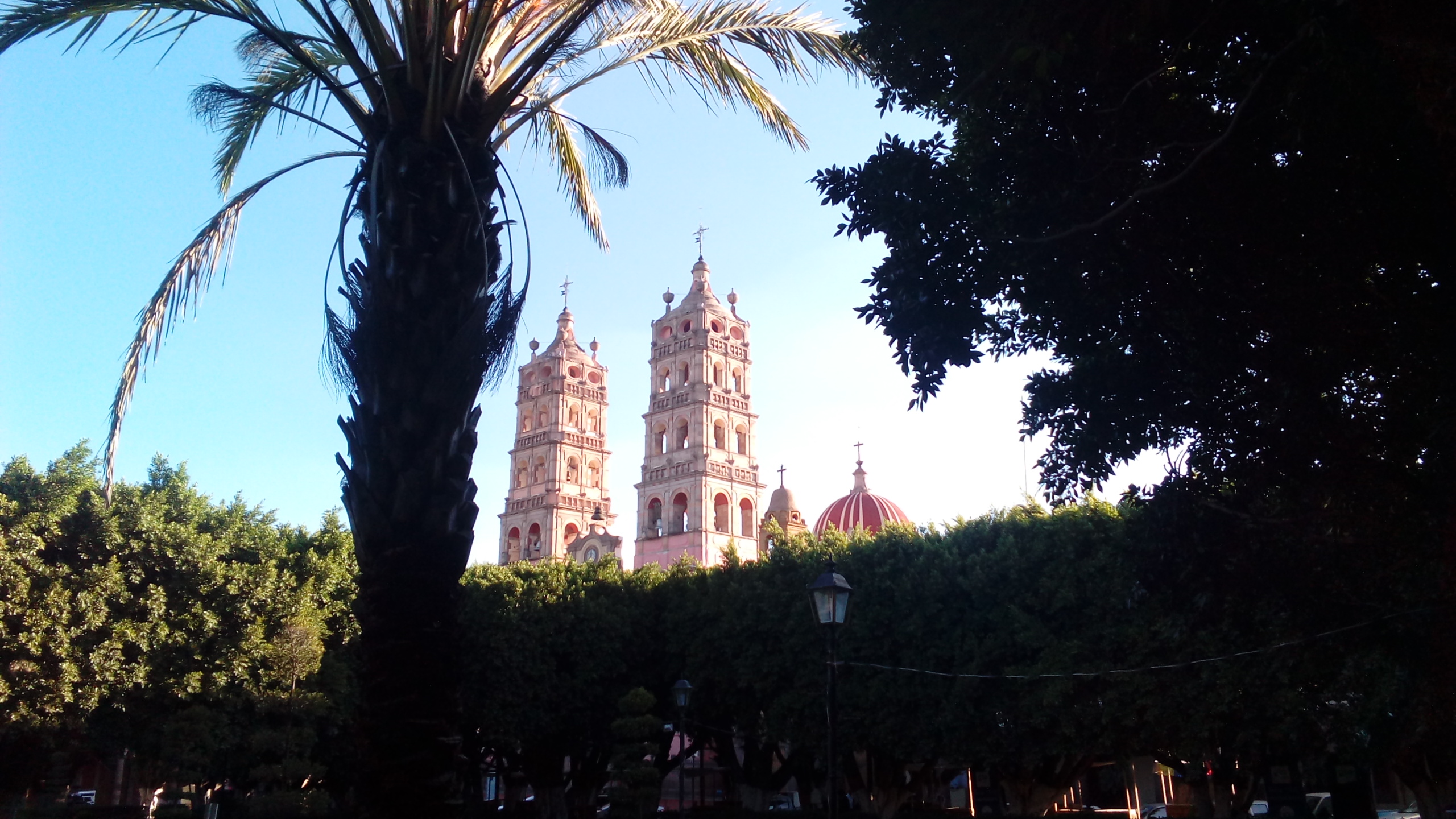 JARDIN PRINCIPAL SALVATIERRA