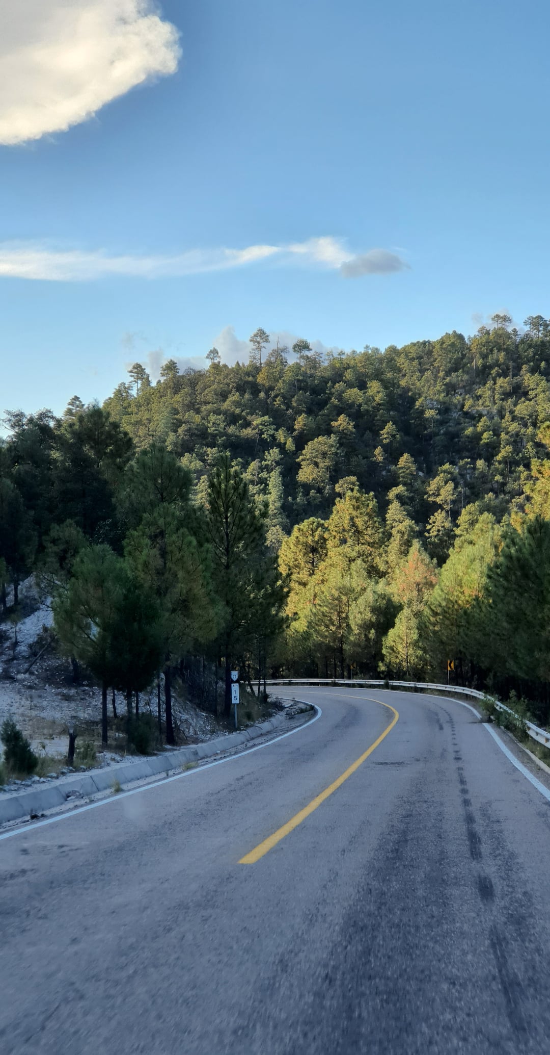 Viaje en carretera por Creel