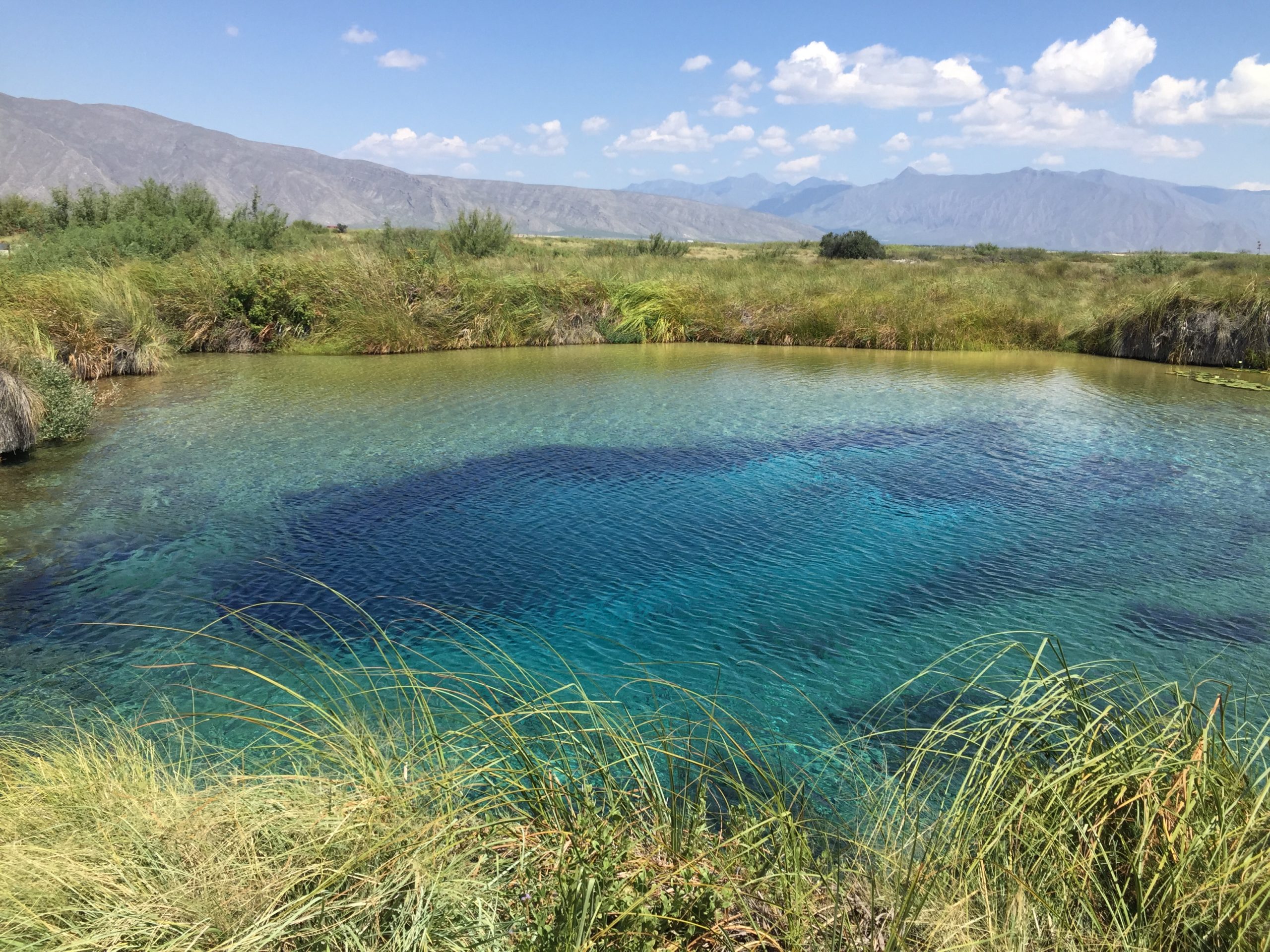 Poza azul