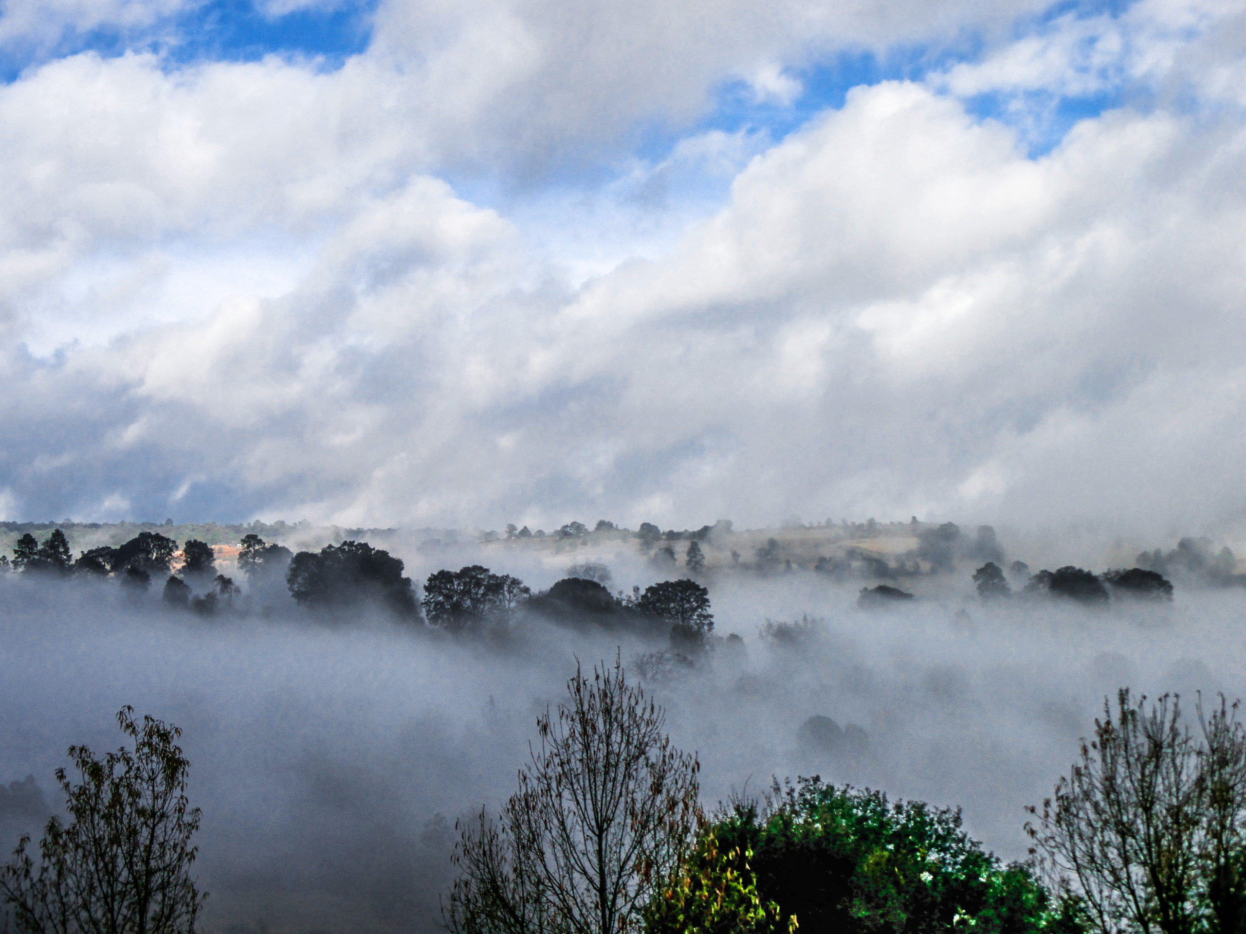 Paseo Por Las Nubes