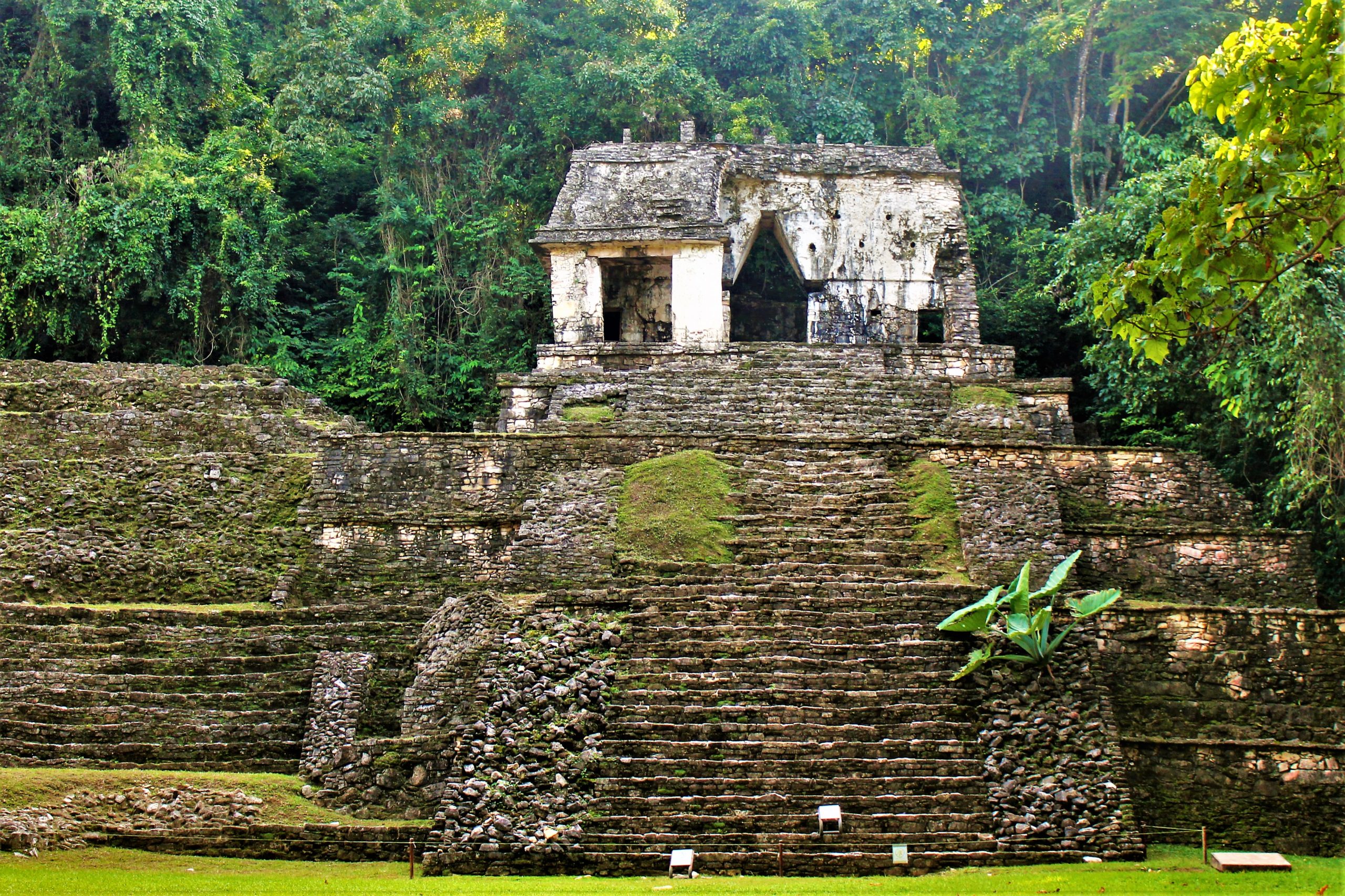 Palenque mágico