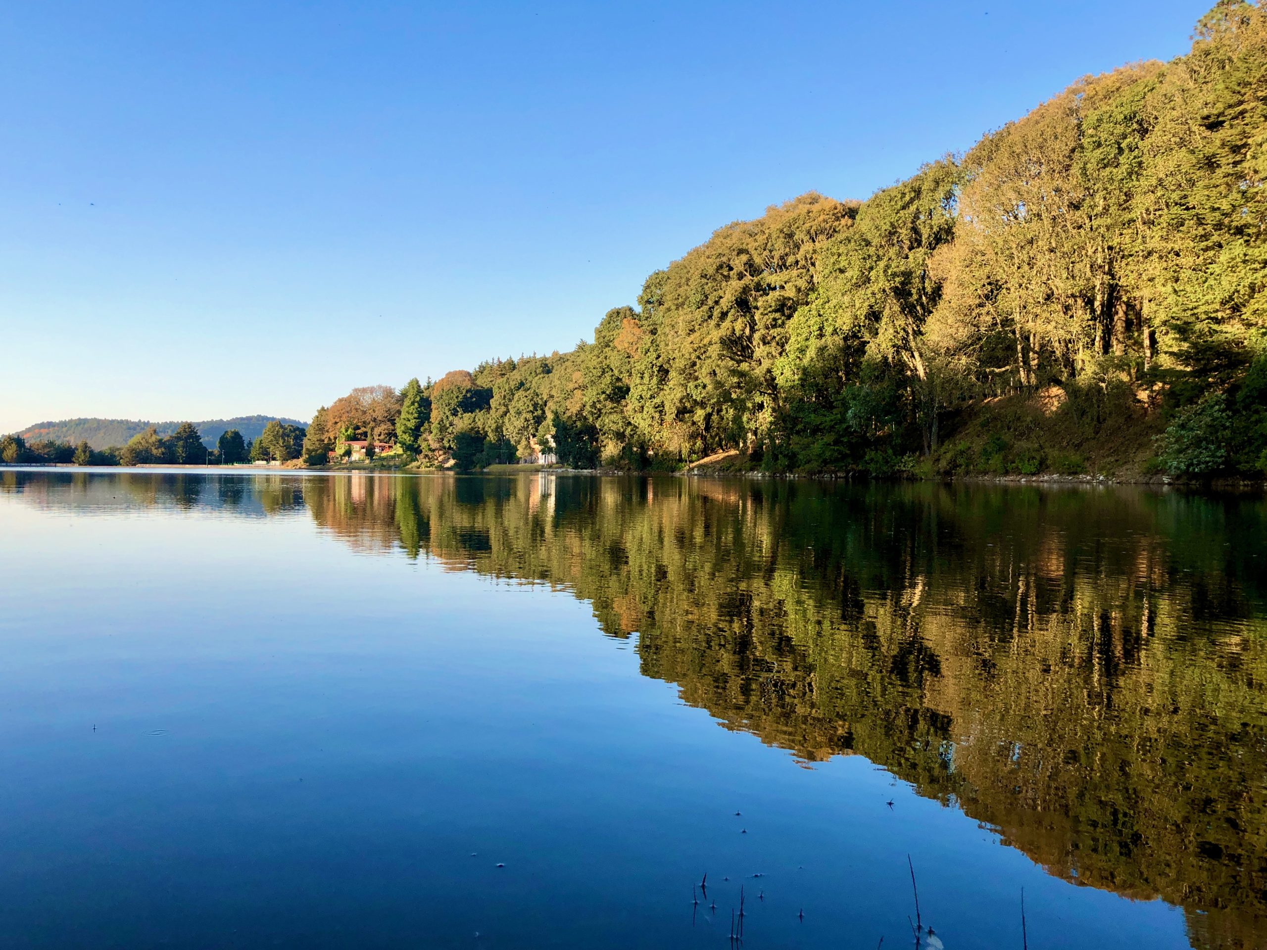 Reflejo del oro