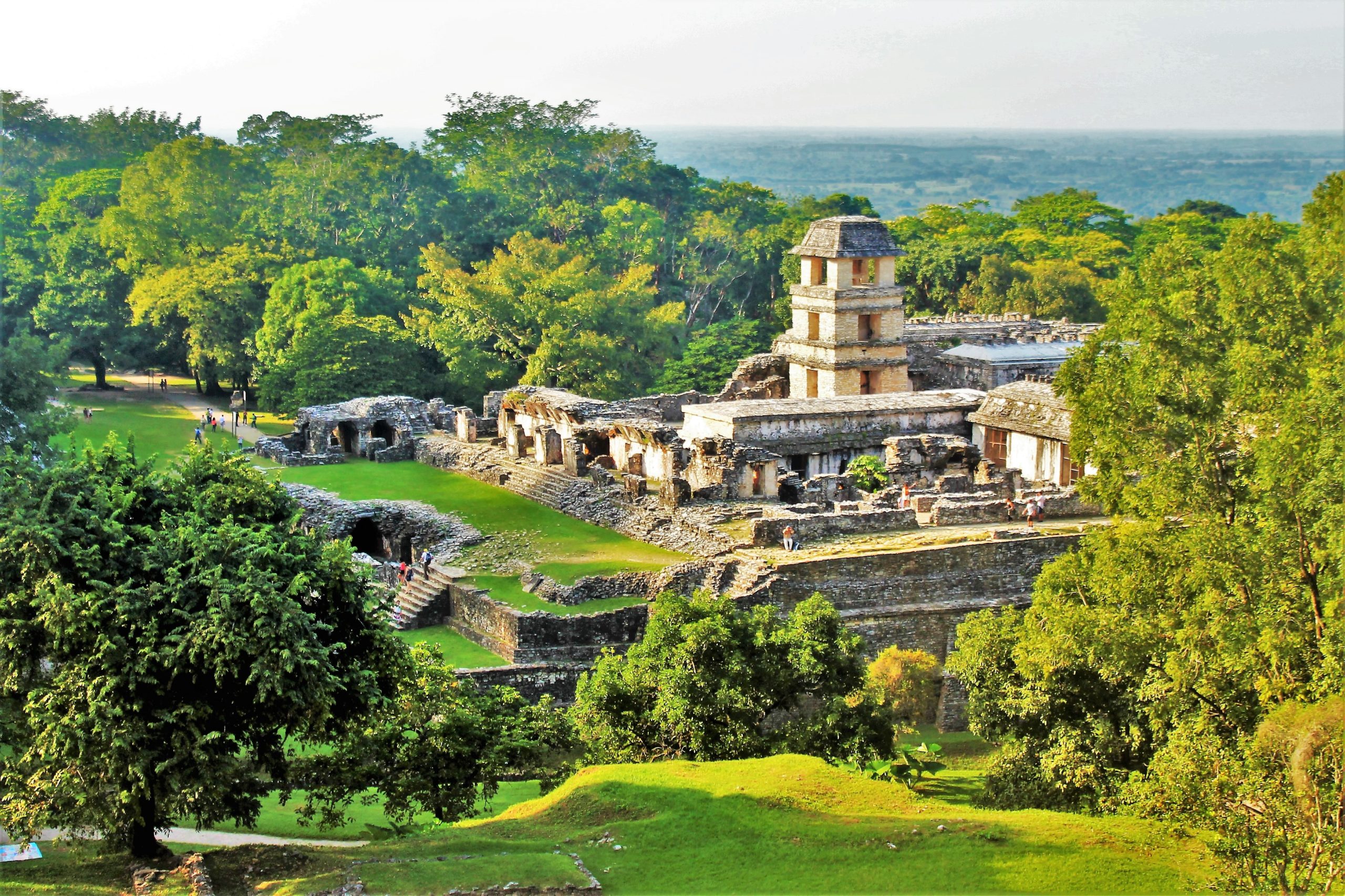 Palenque majestuoso