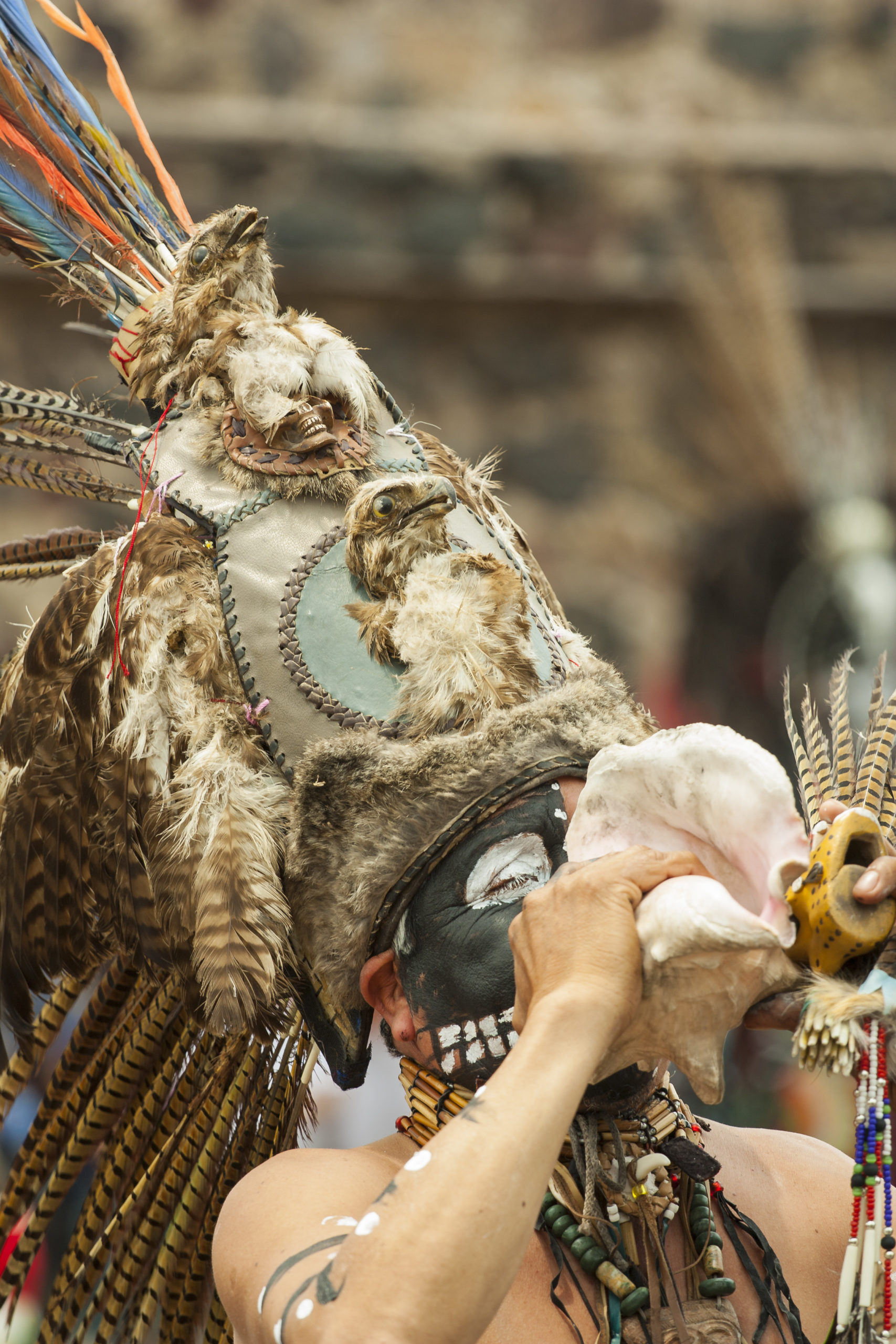 Los concheros y sus fiestas rituales