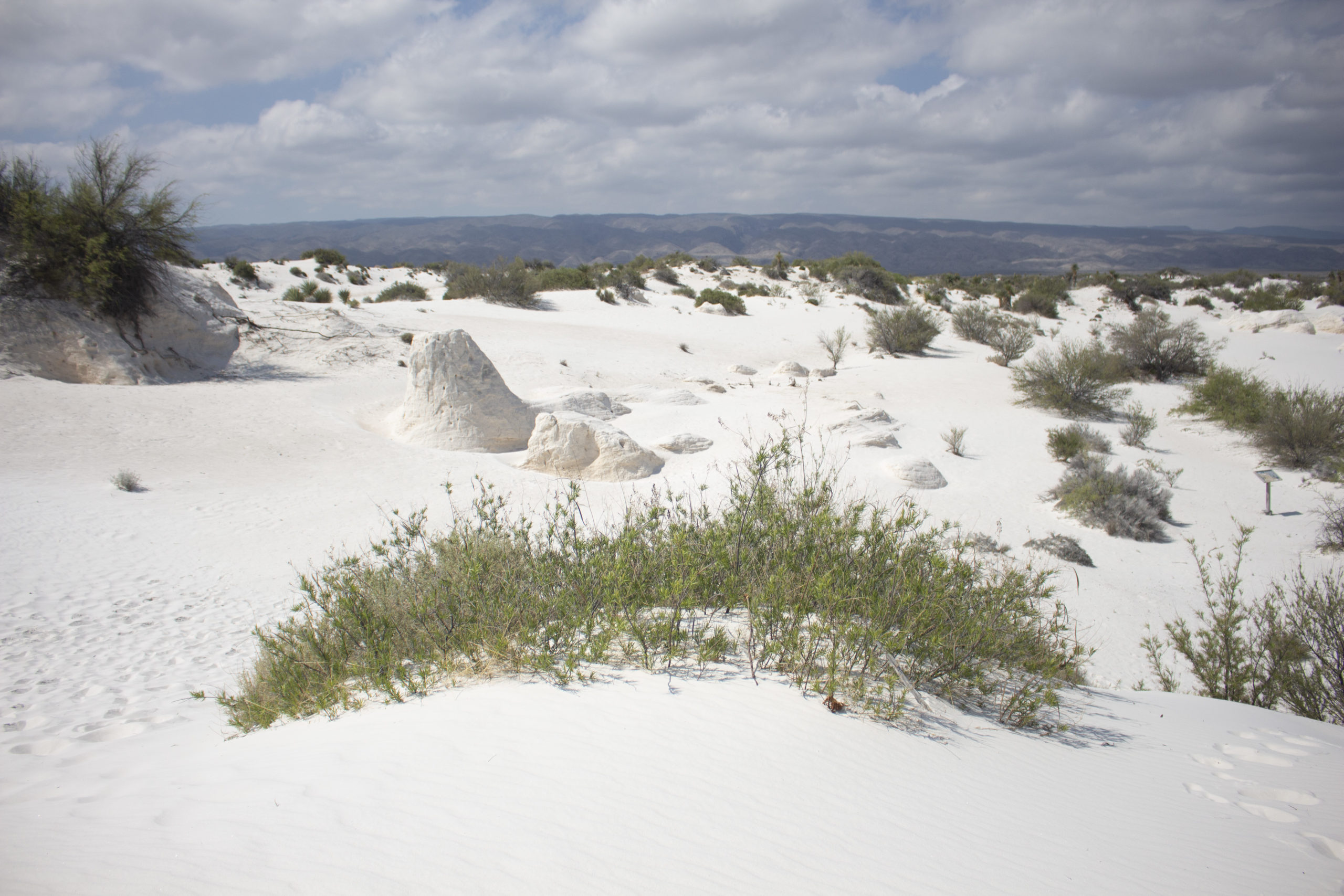 Dunas de Yeso