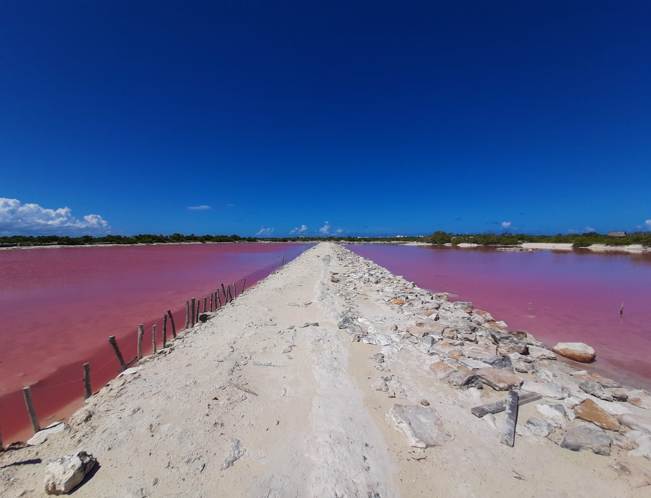 Laguna Rosa