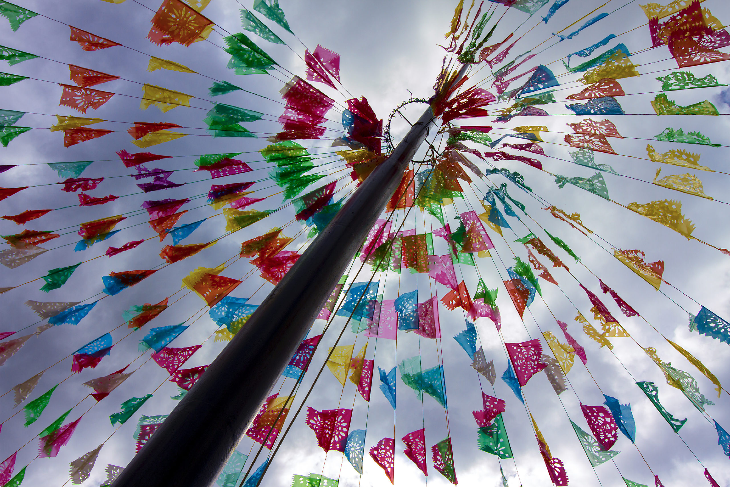 Colores al viento